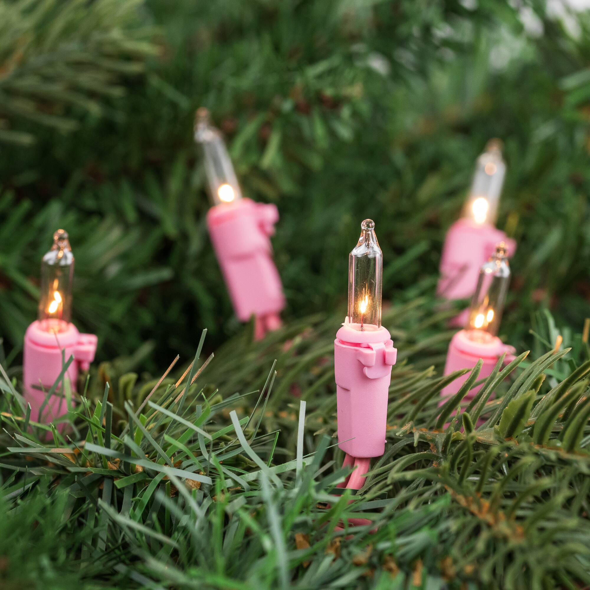 50ct Clear Mini Valentine's Day Light Set 10ft Pink Wire