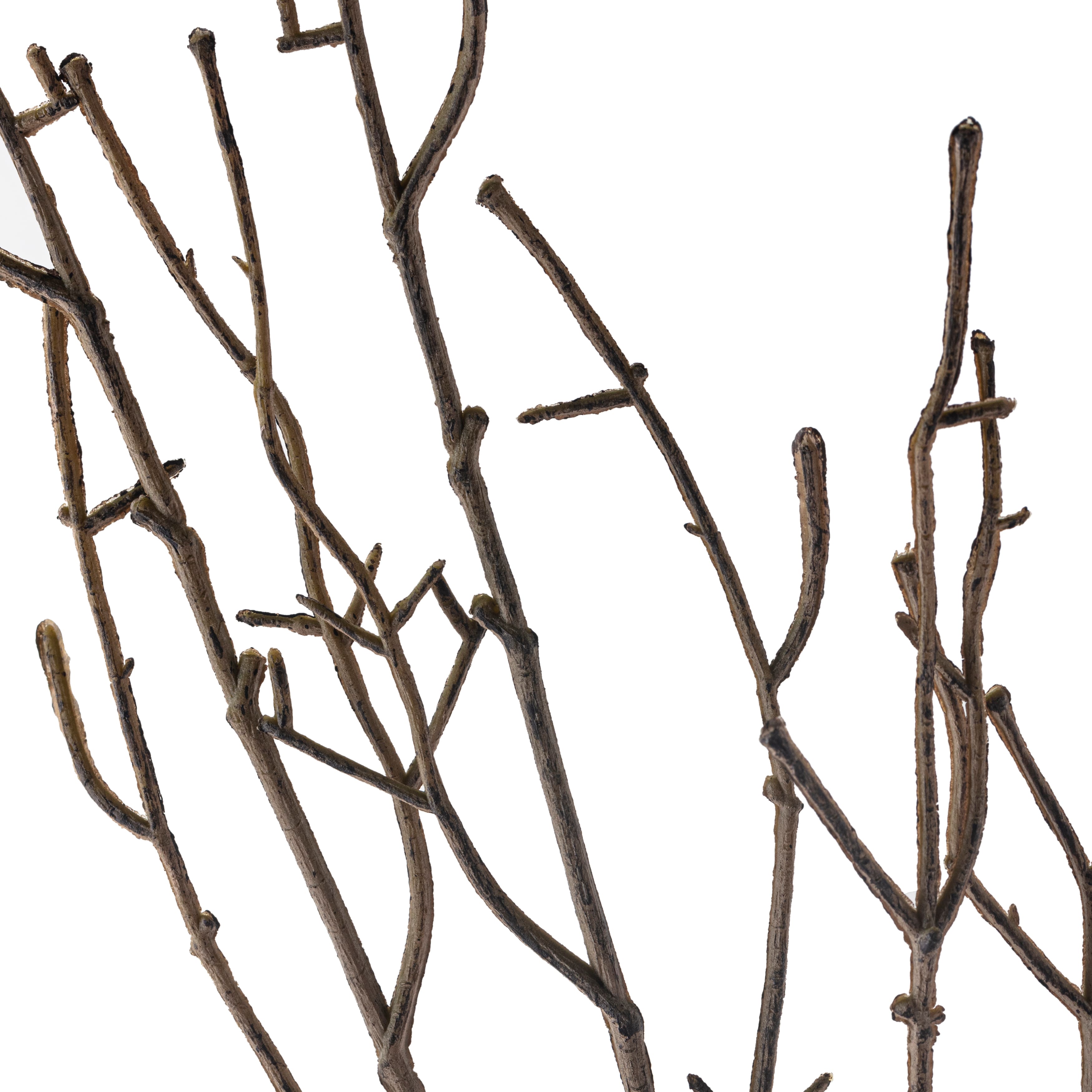12 Pack: Brown Twig Stem by Ashland®