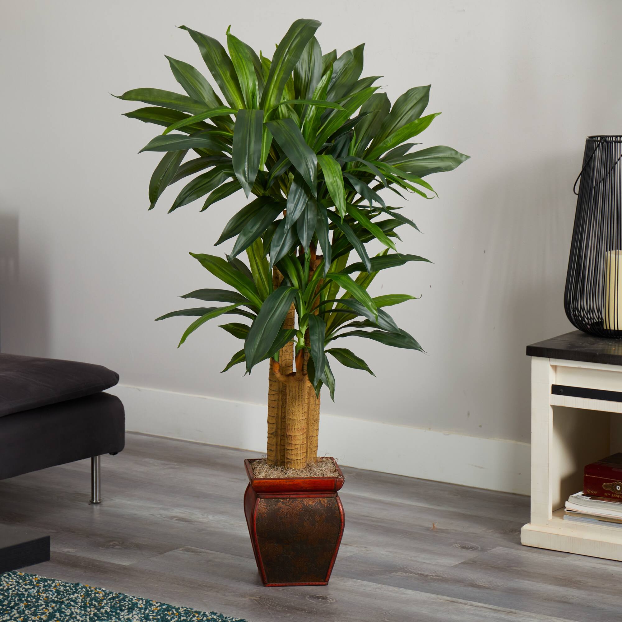 4.5ft. Cornstalk Dracaena In Vase