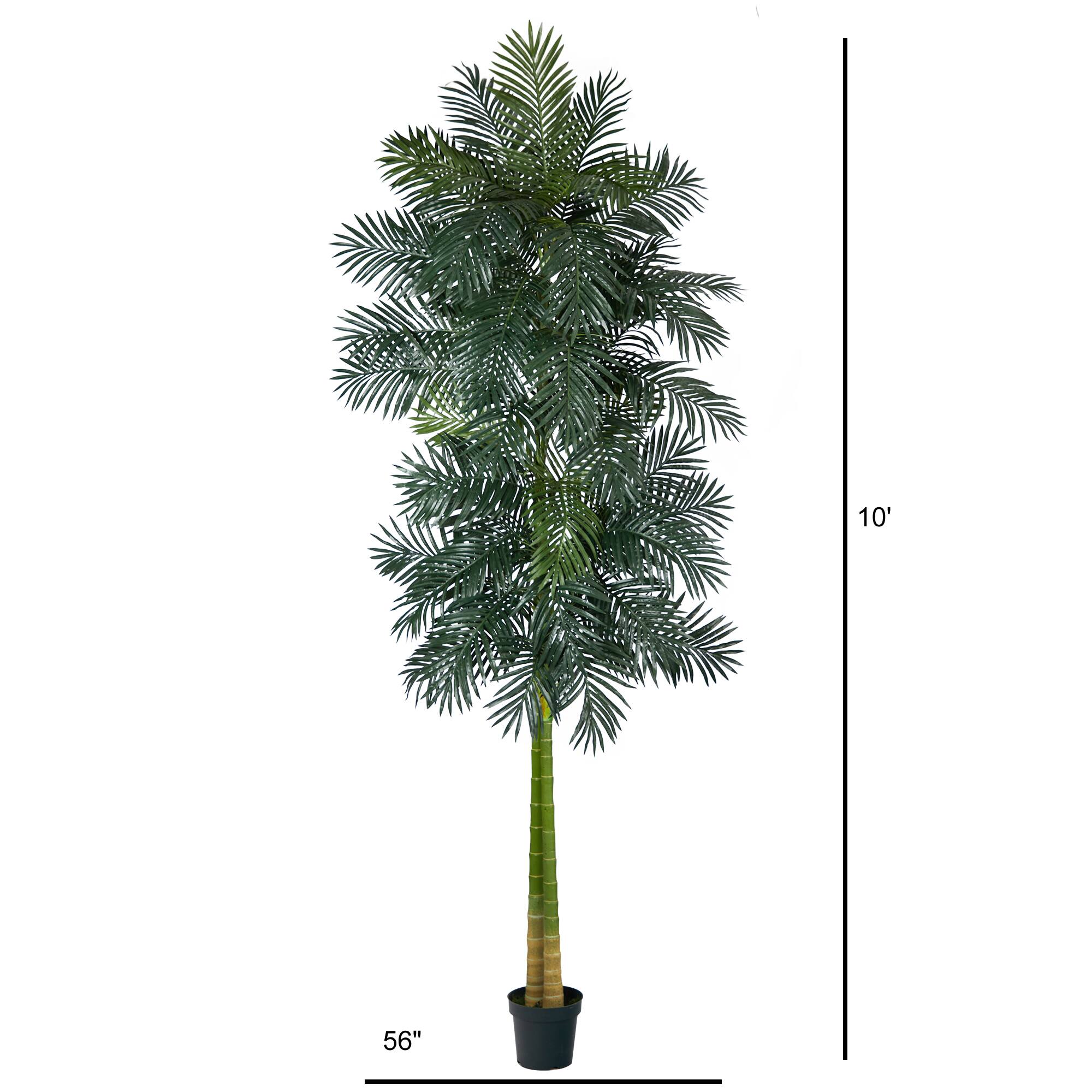 10ft. Potted Double Stalk Golden Cane Palm Tree