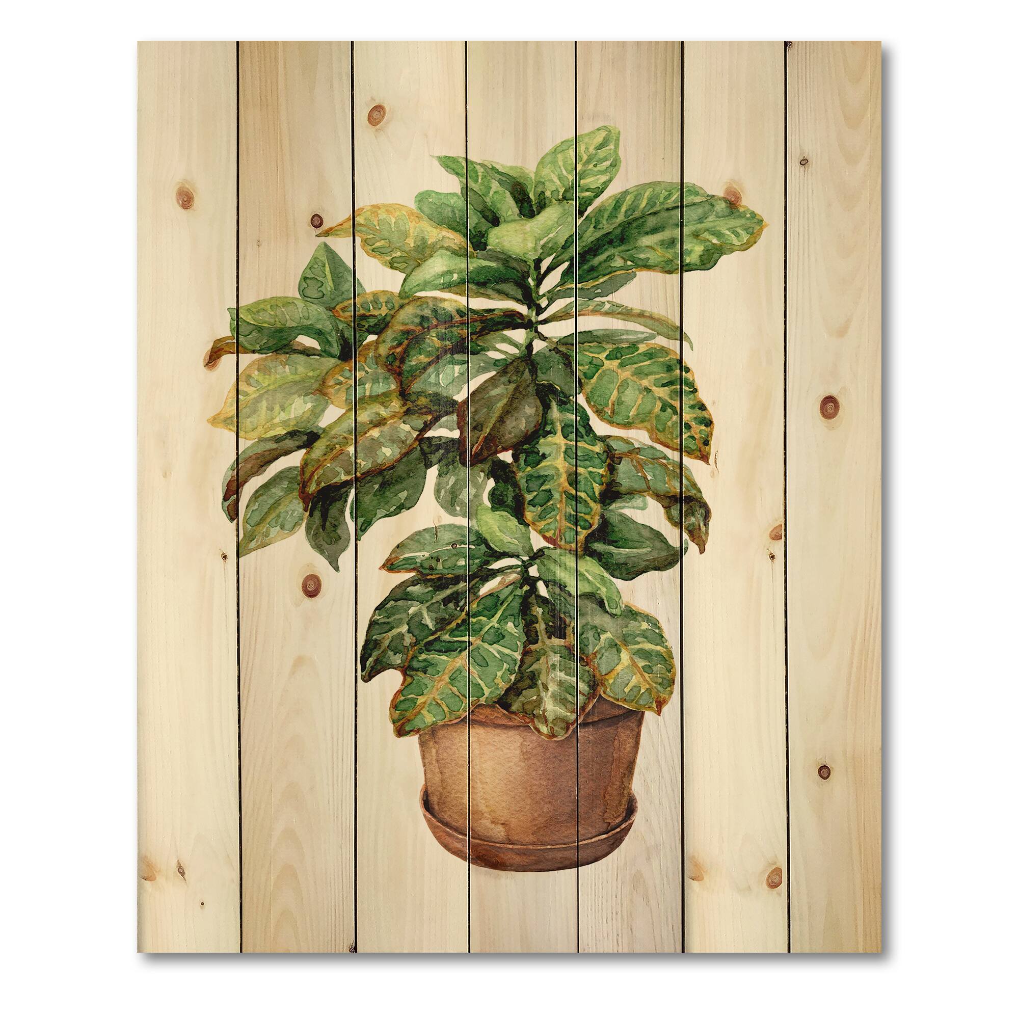 Designart - Croton In Clay Flowerpot - Traditional Print on Natural Pine Wood
