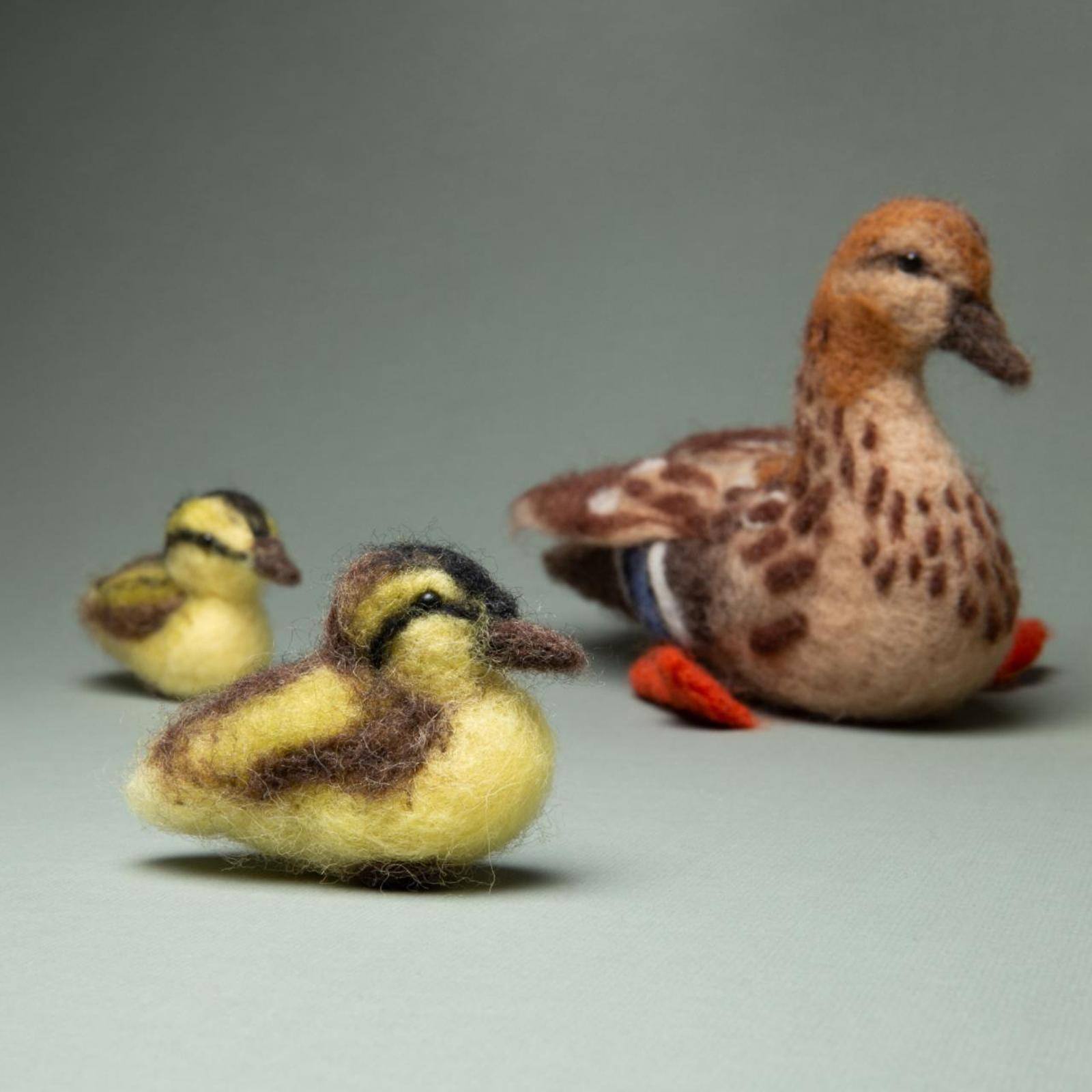 Charivna Mit Friendly Family Felting Kit