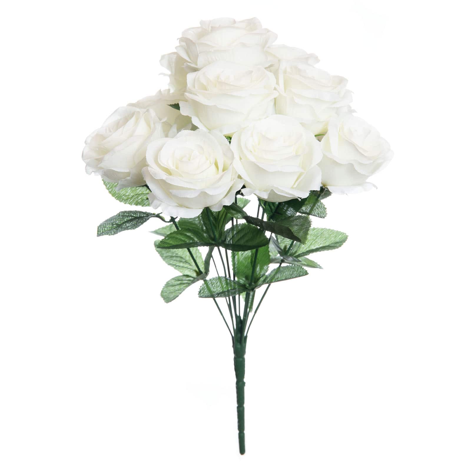 Cream Rose Bush by Ashland®