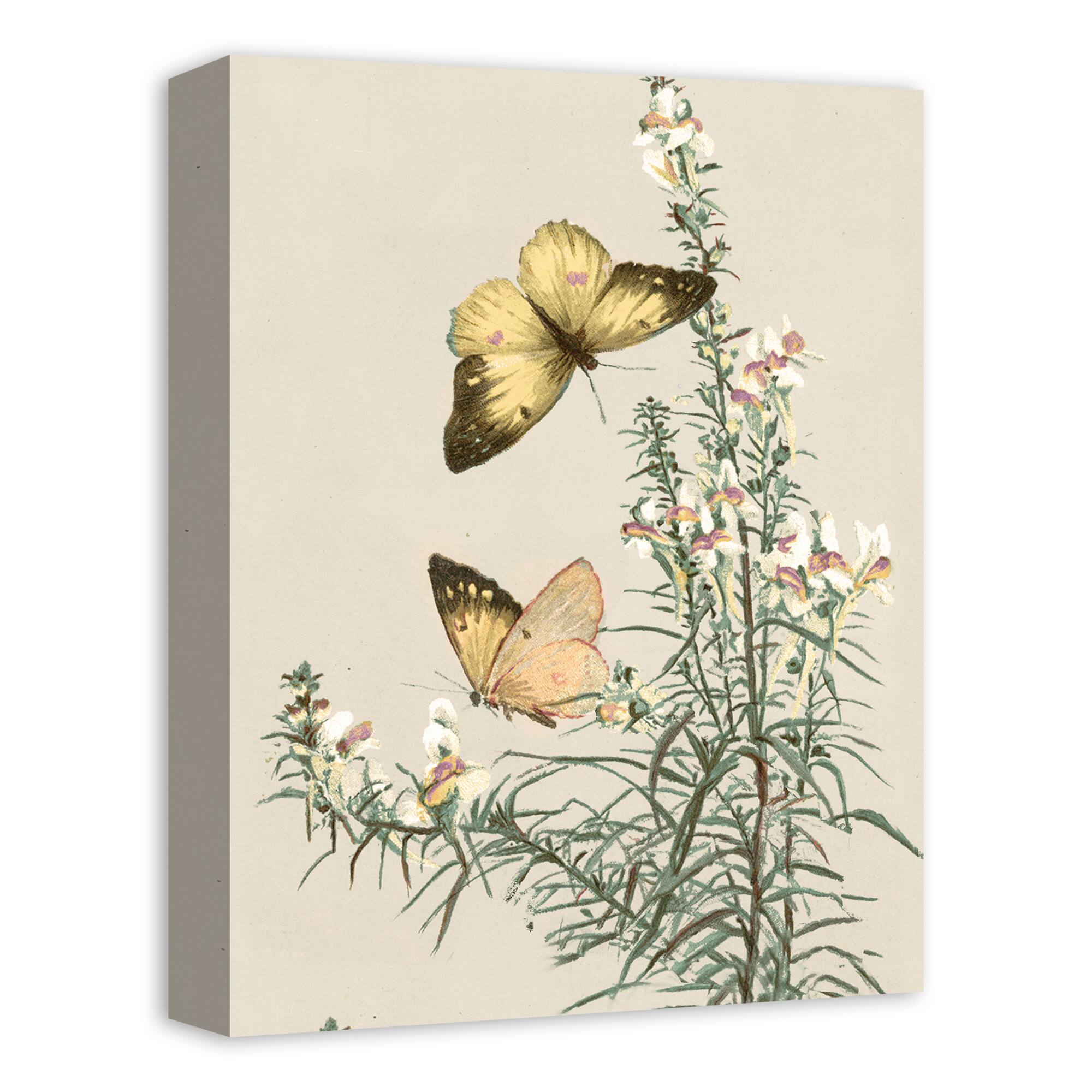 Butterflies In Sage 12" x 16" Canvas Wall Art