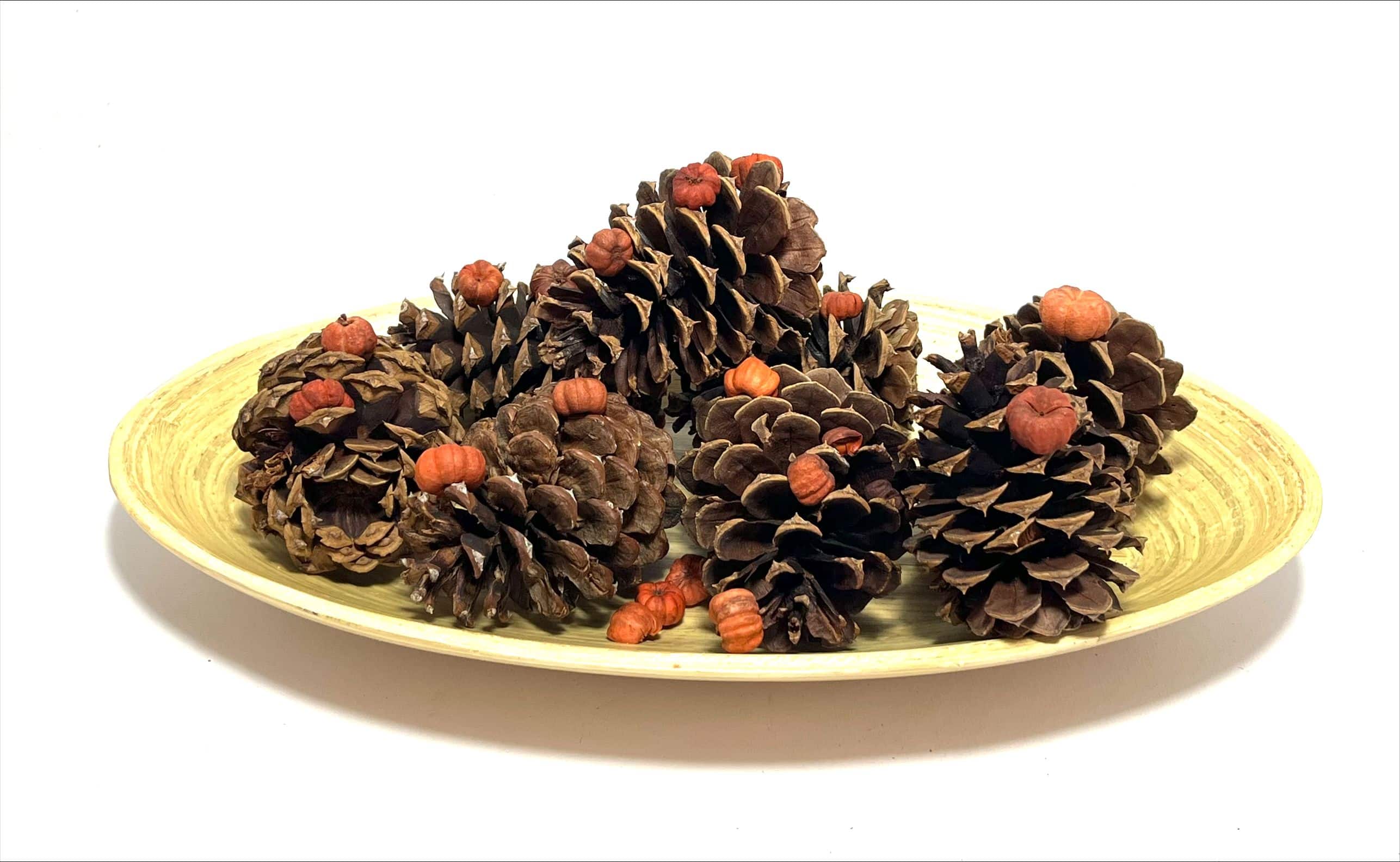 3qt. Pecan Caramel Scented Pinecones by Ashland®