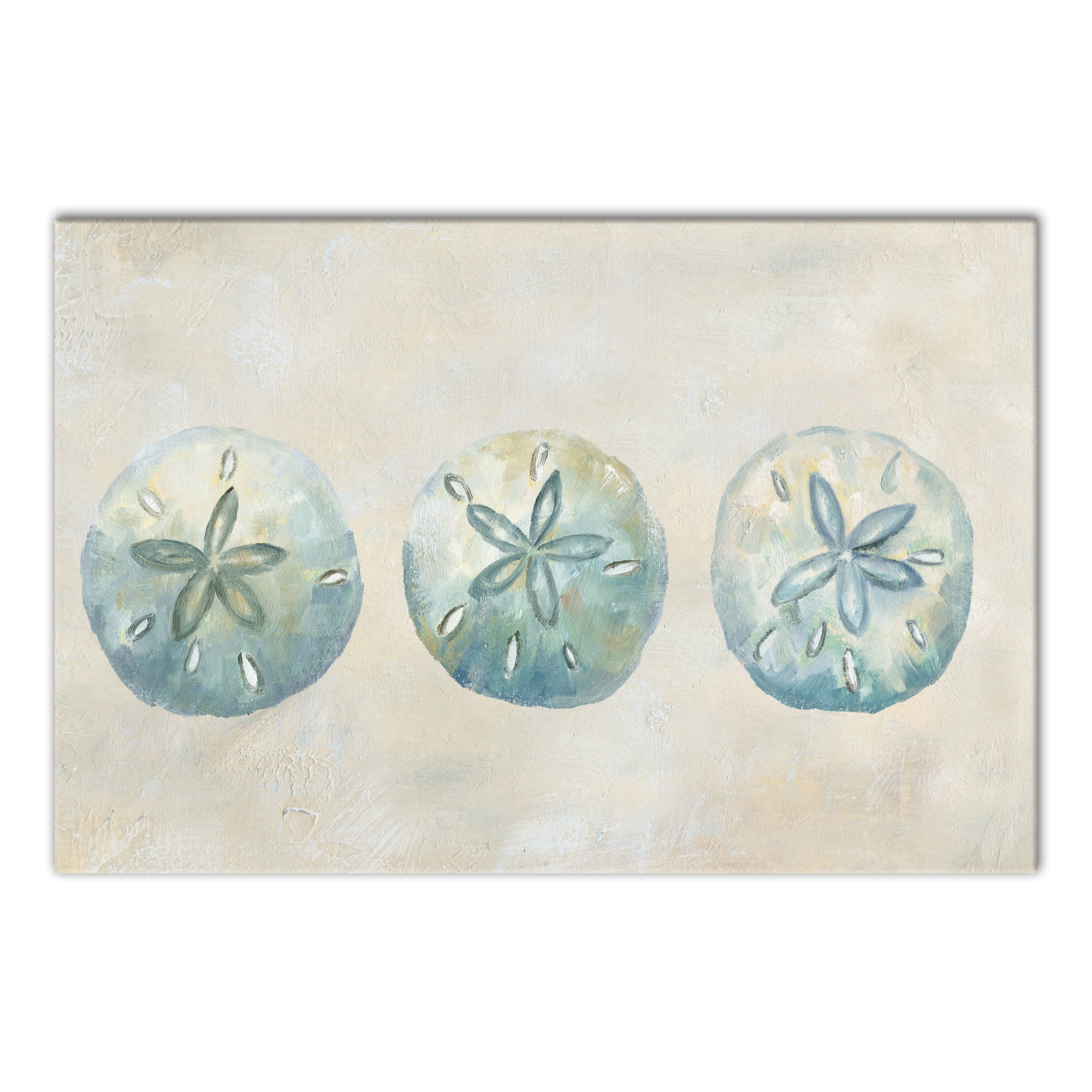 Sand Dollars 18" x 12' Canvas Wall Art
