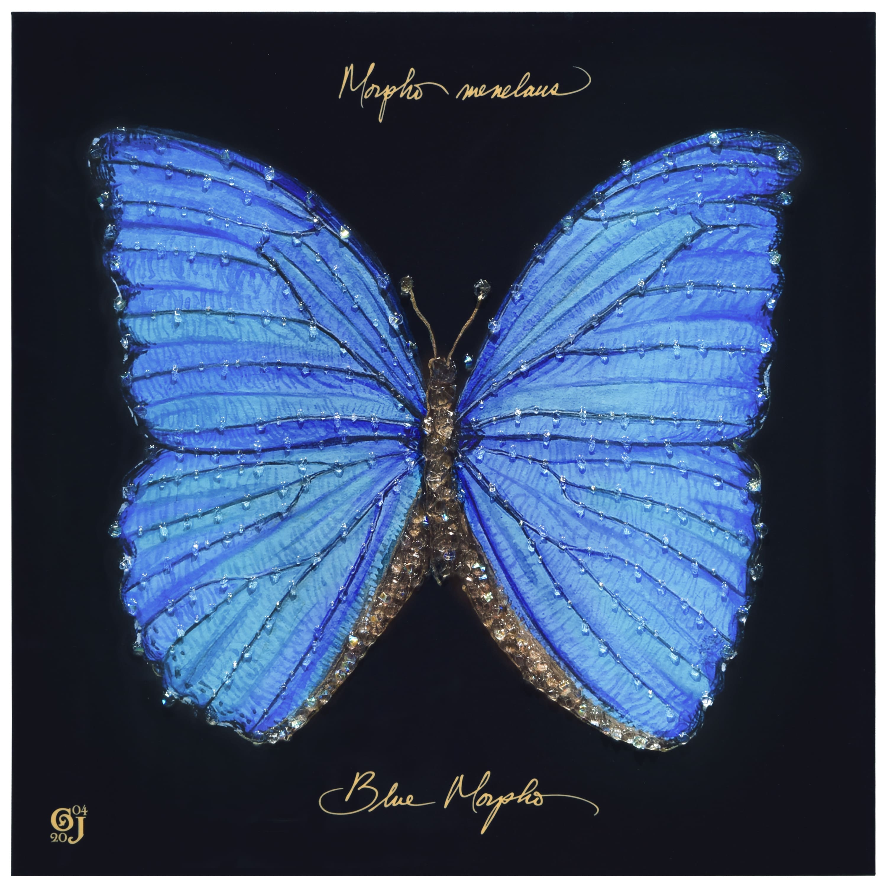 Empire Art Direct 24" x 24" Blue Monarch Elegance I Crystallus Gallery Epoxy Coated Wrapped Canvas Wall Art