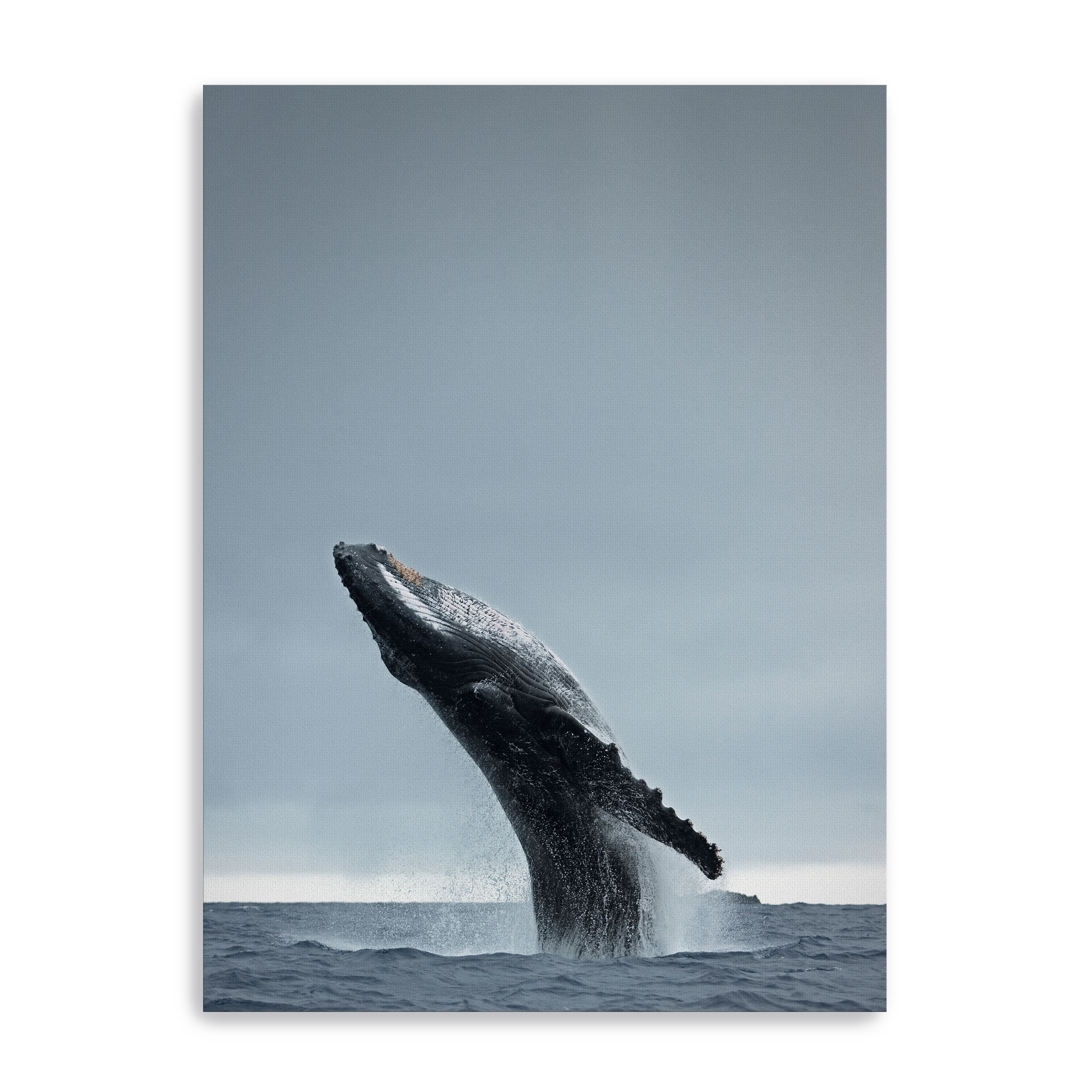 40 Ton Canvas Giclee
