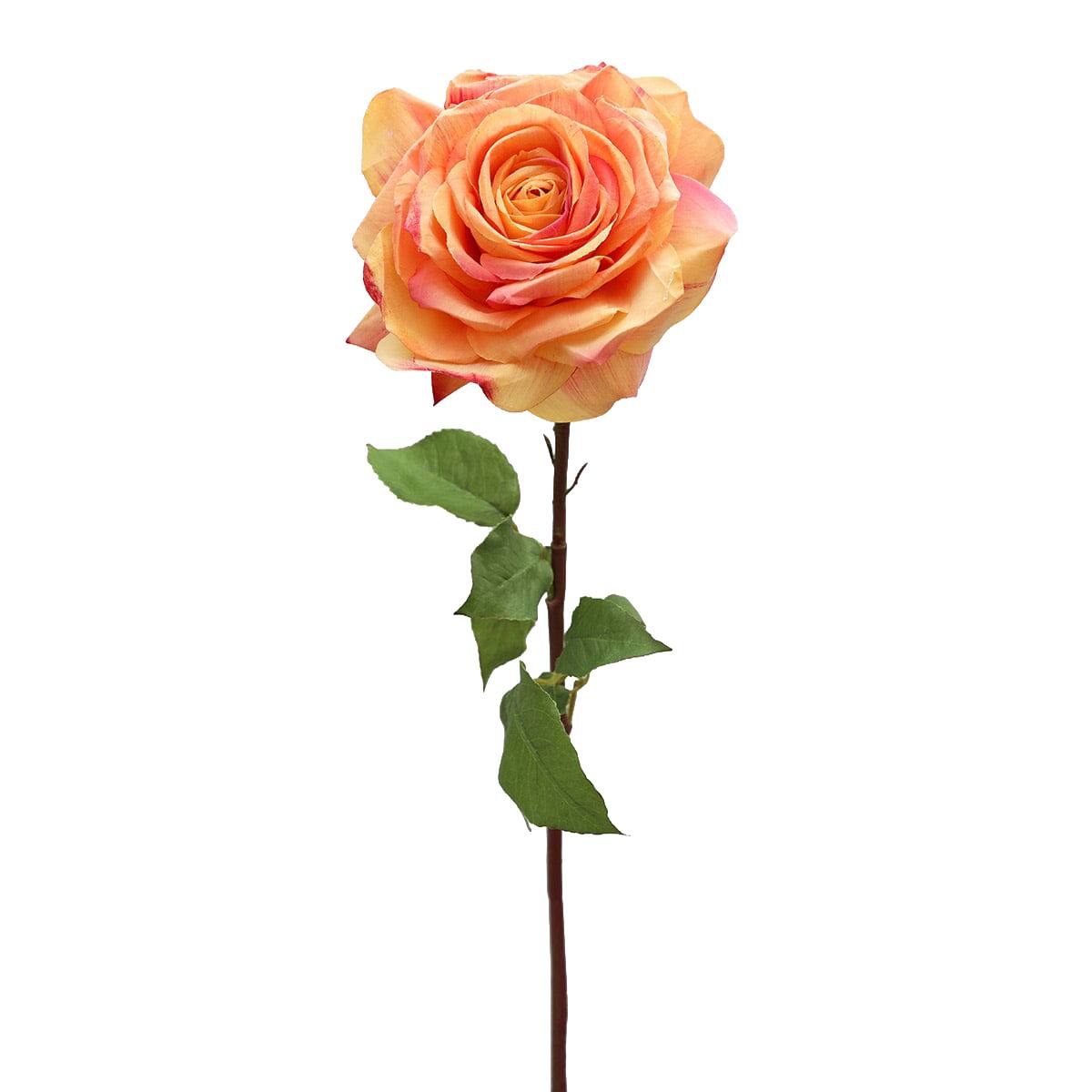 Prestige Botanicals 20" Artificial Sunset Dutchess Rose Stem