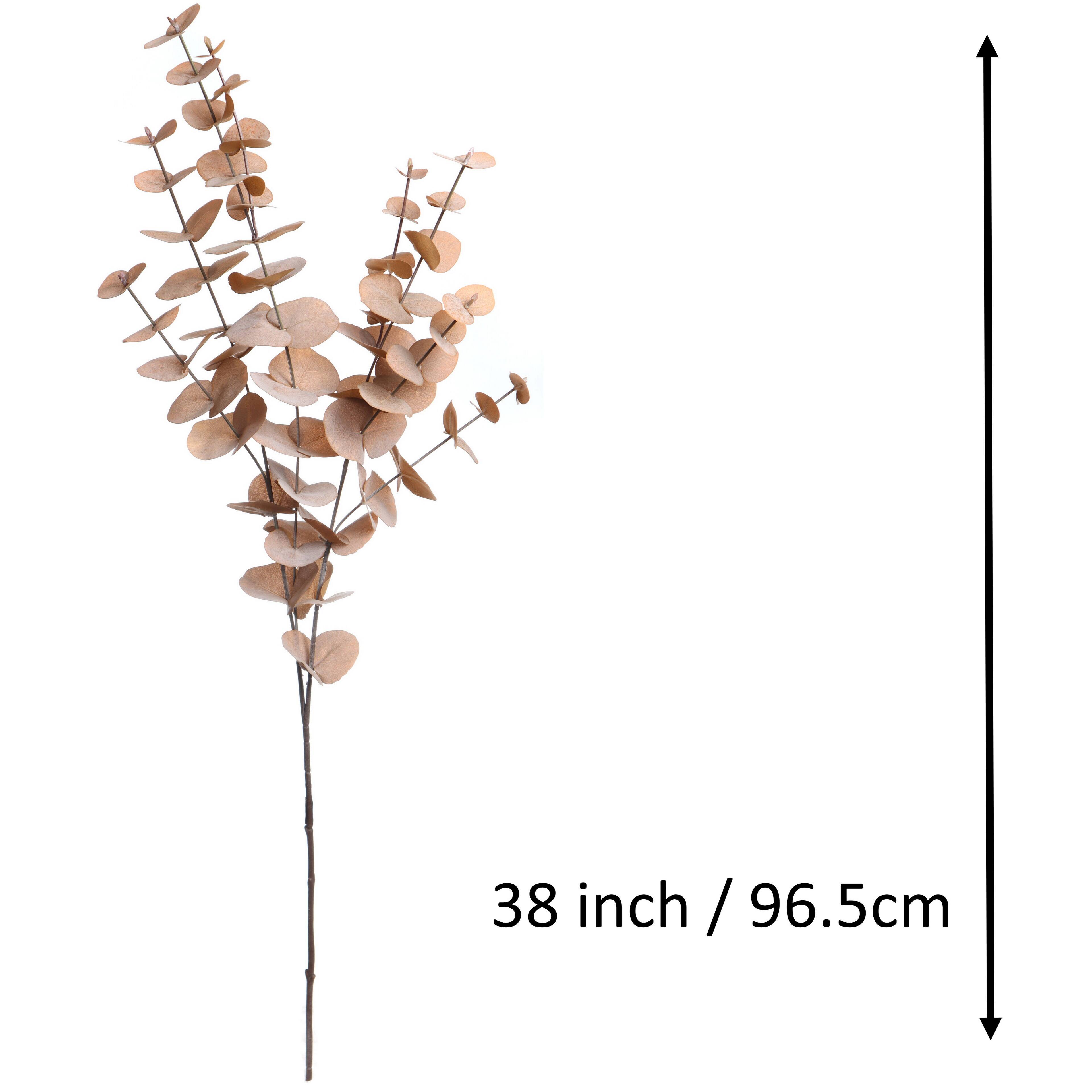 38" Toasted Eucalyptus Stem by Ashland®