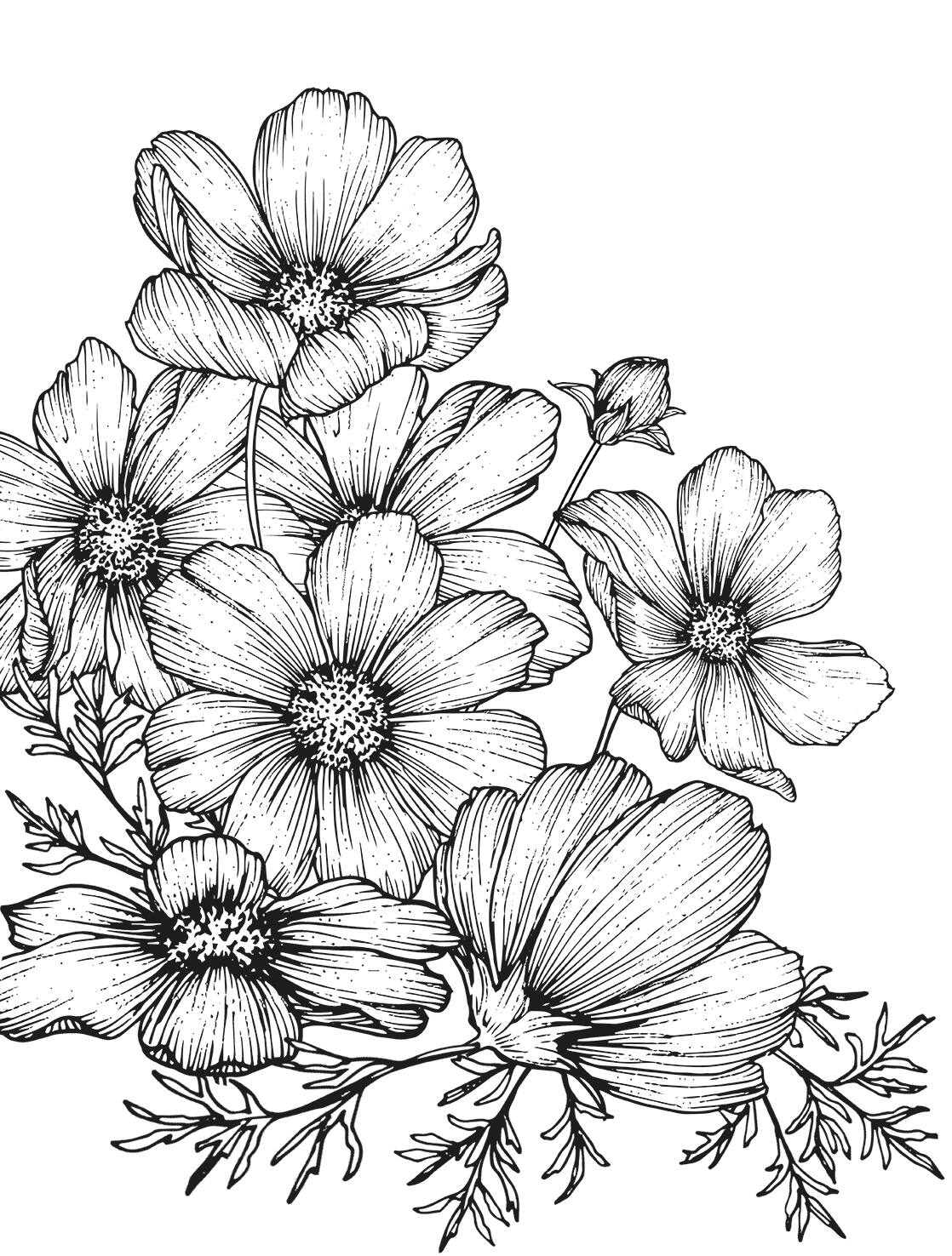 Designs Direct Poppies Linework Wall Mural