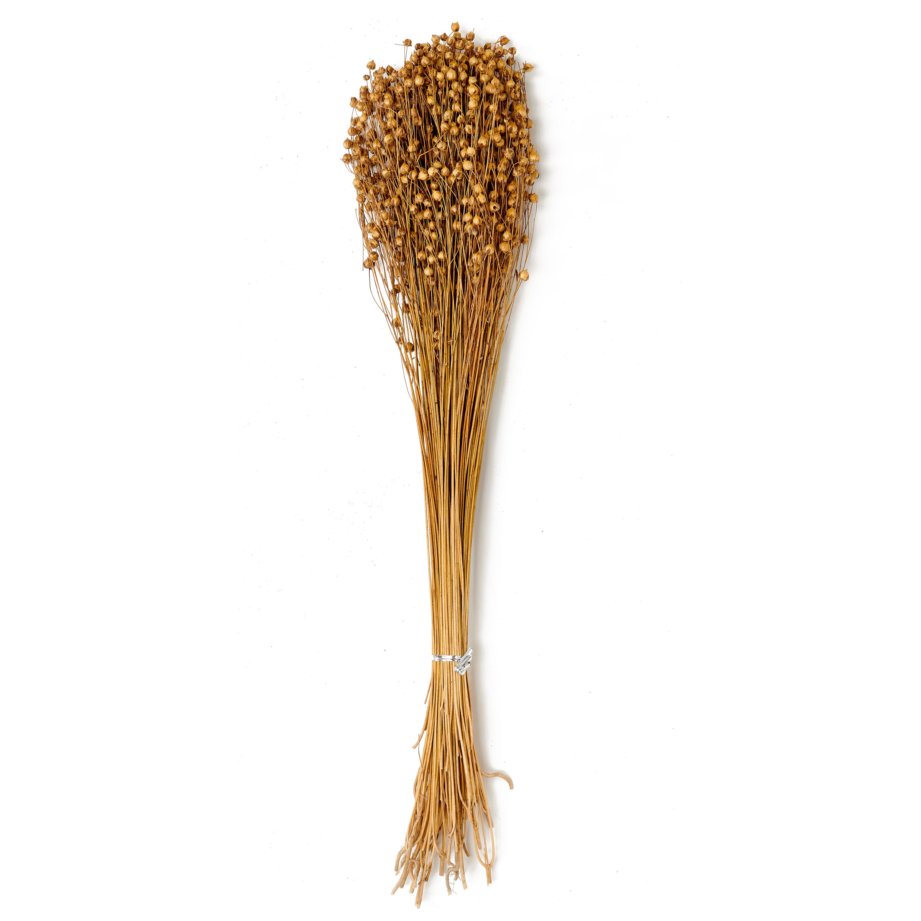 25" Natural Lino Flax Décor Grasses, 6ct.