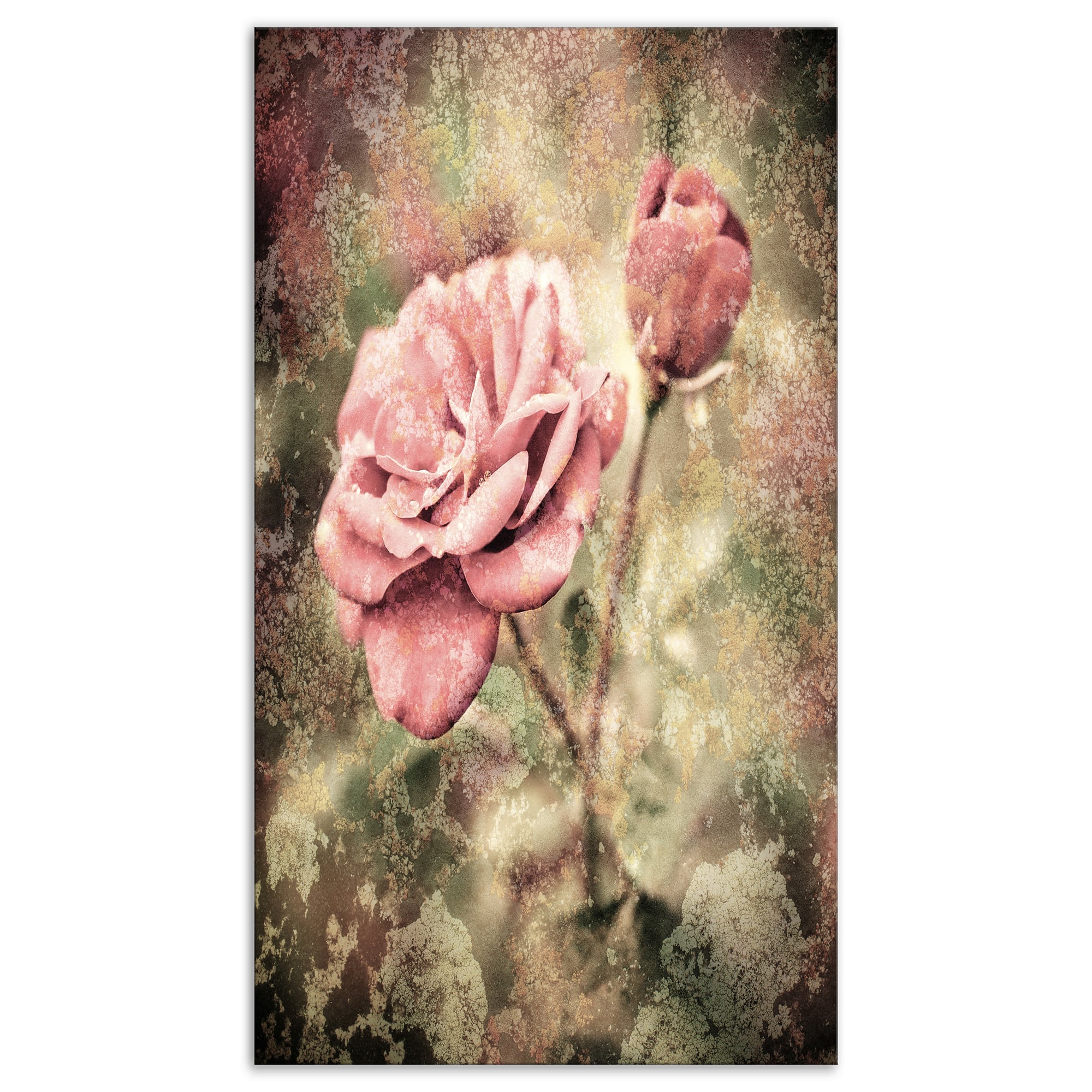 Designart - Vintage Pink Roses with Water Drops