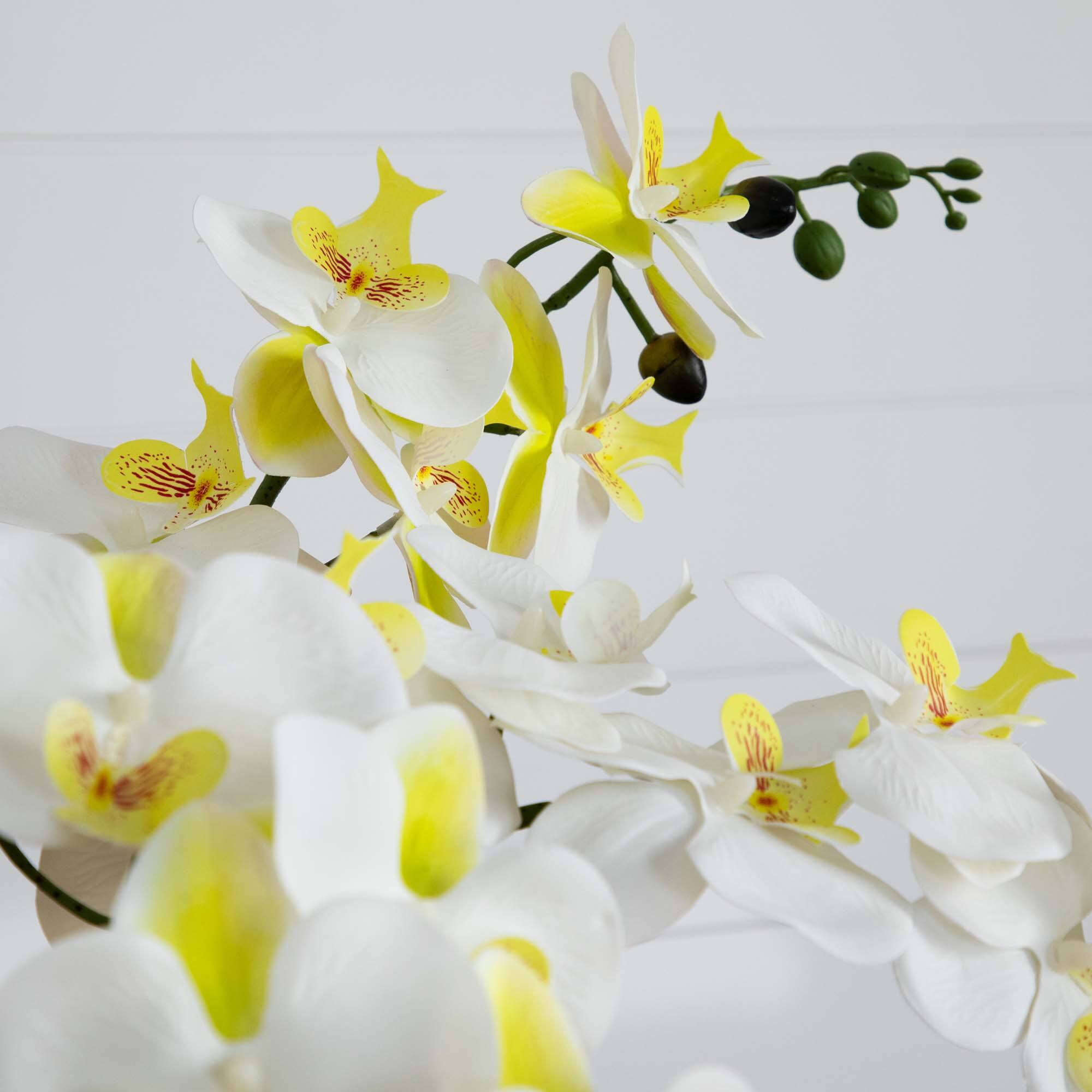 23" Orchid Arrangement in White Ceramic Planter