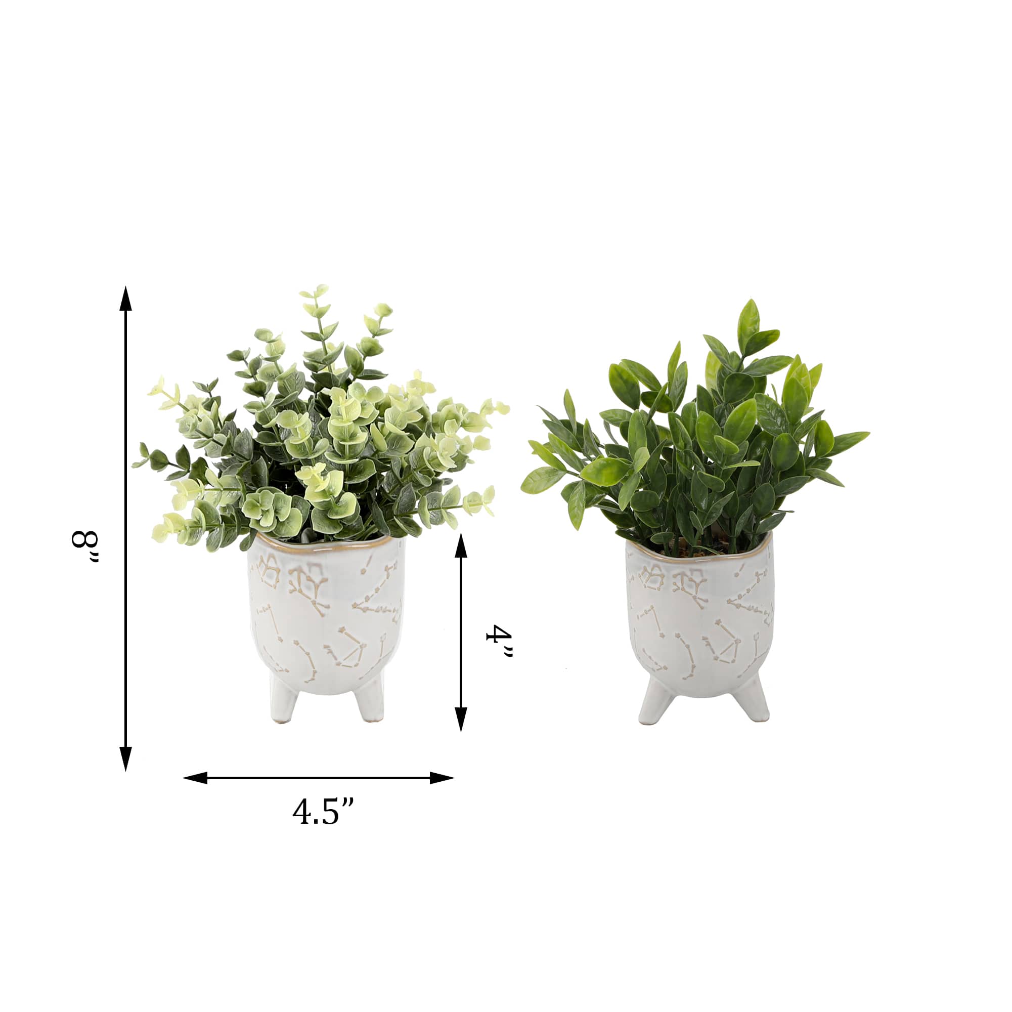 Flora Bunda® Tea Leaf In 3" Ivory Constellation Footed Set