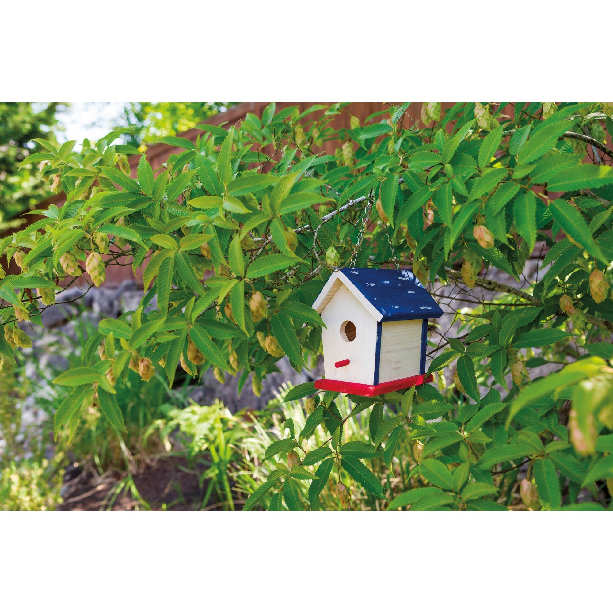Toysmith Beetle & Bee Paint a Bird Base™ DIY Birdhouse Activity Kit