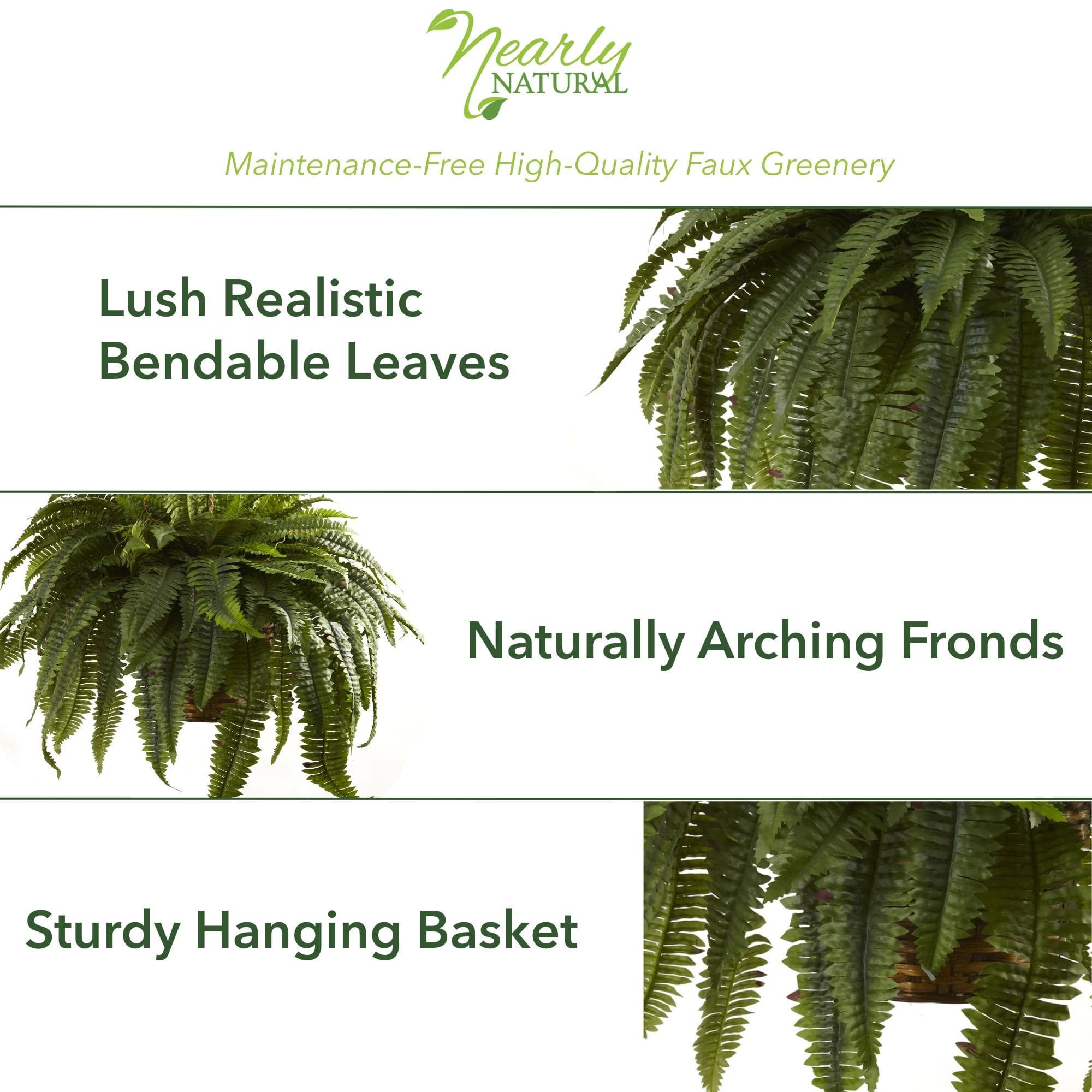 2.5ft. Double Boston Fern Hanging Basket