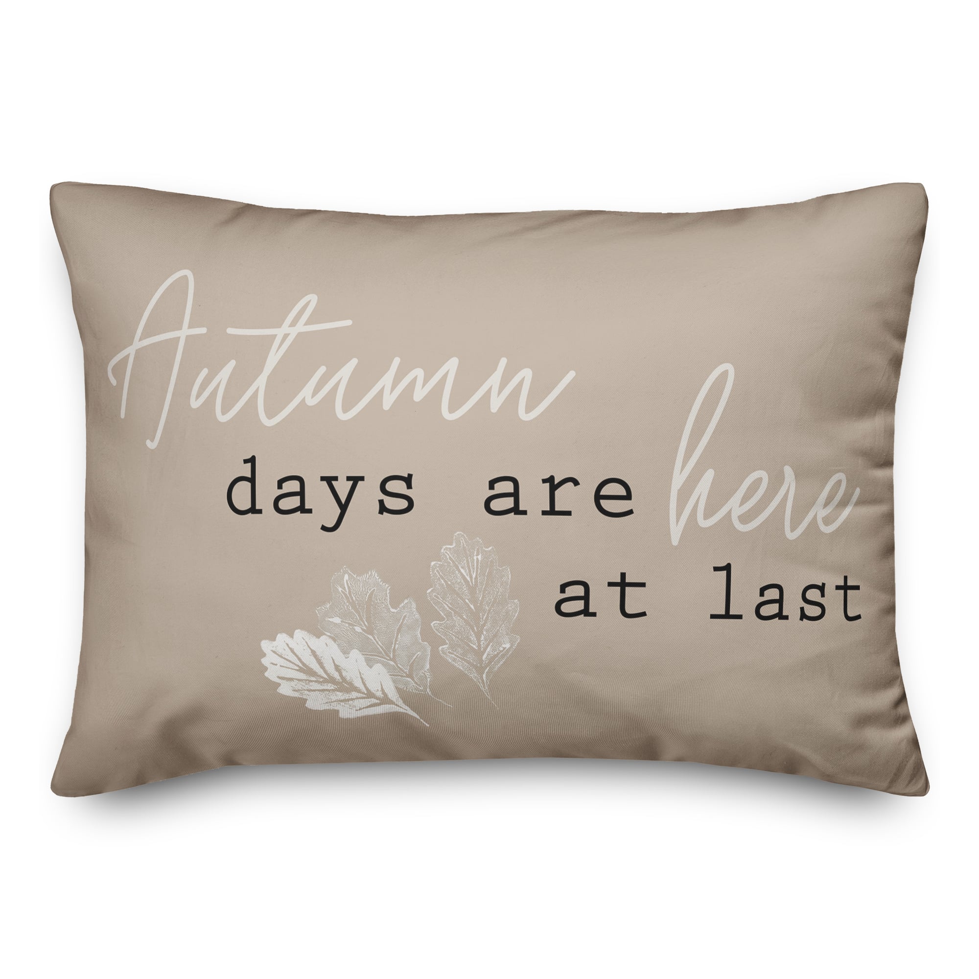 Brown Autumn Days At Last Throw Pillow