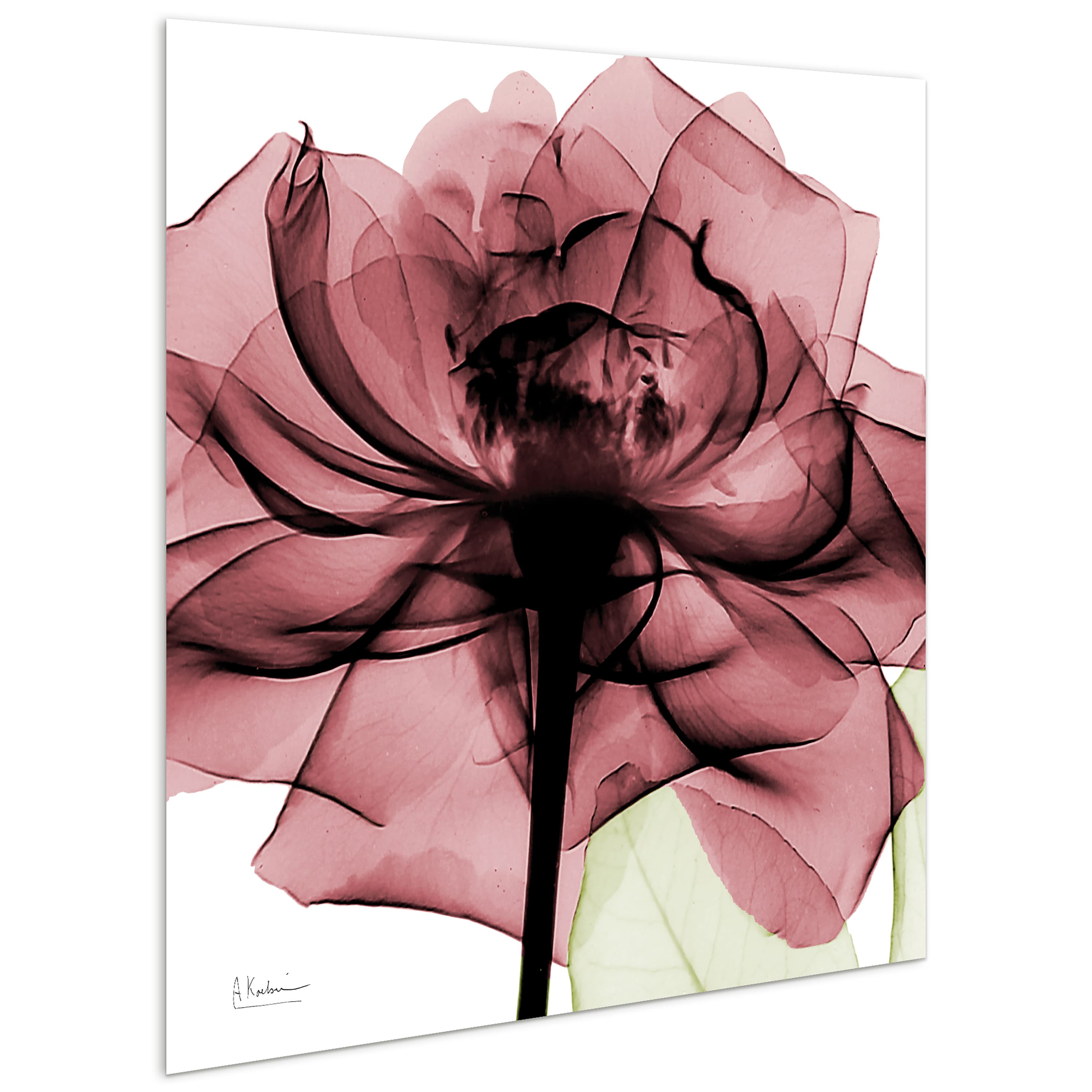 Empire Art Direct 24" x 24" Chianti Rose II Frameless Free Floating Printed Tempered Glass Wall Art