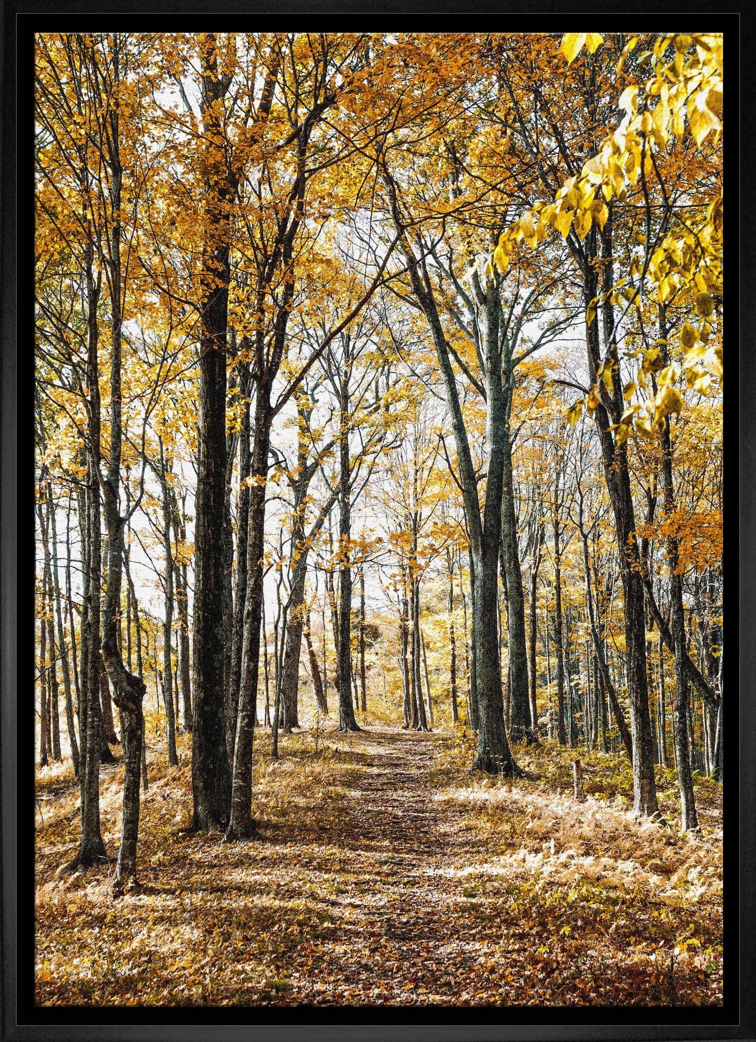 Autumn Leaves 20" x 29" Framed Canvas 22.5" x 31.5"