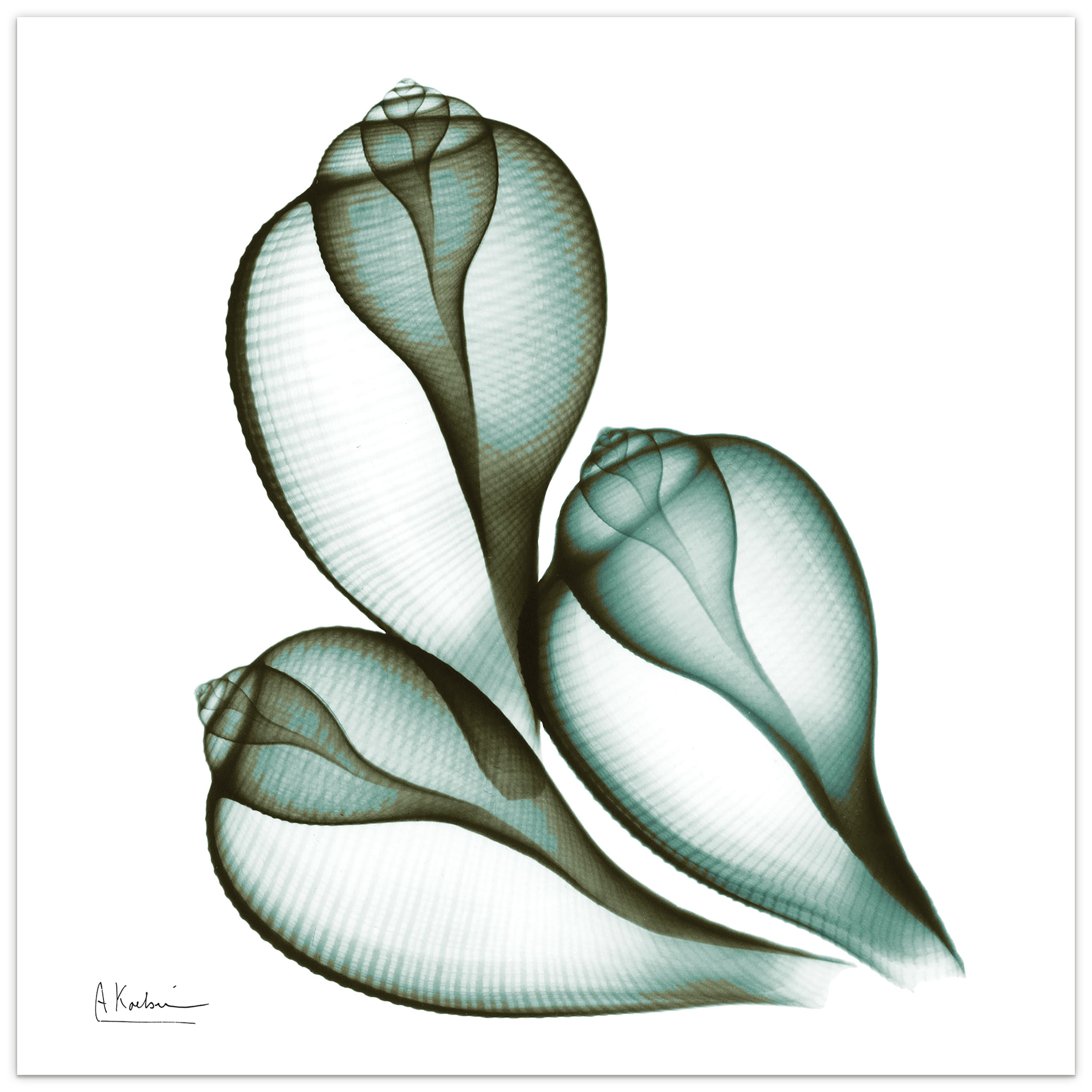 Empire Art Direct 24" x 24" Coastal Serenity Frameless Free Floating Printed Tempered Glass Wall Art