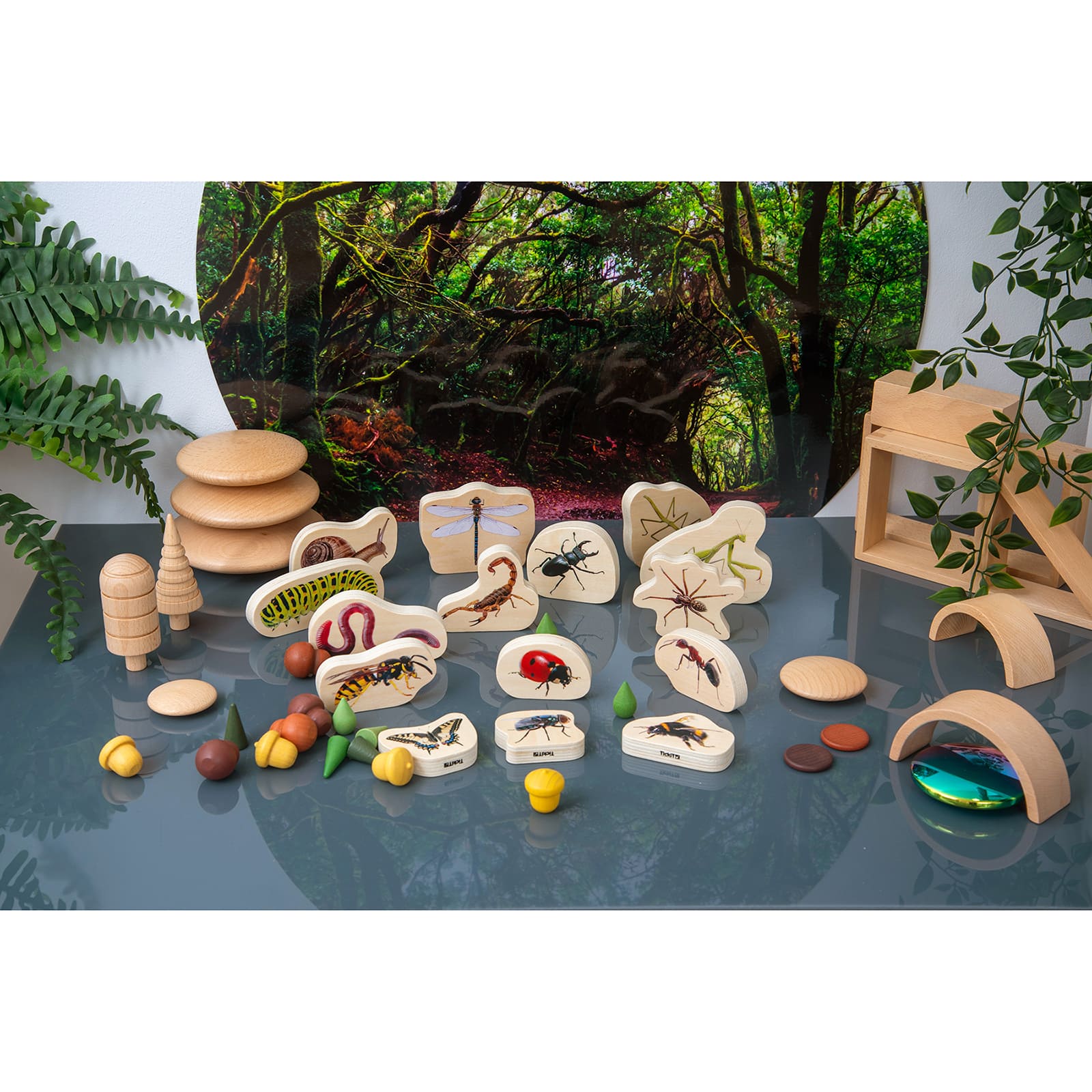 TickiT® Wooden Minibeast Blocks Set