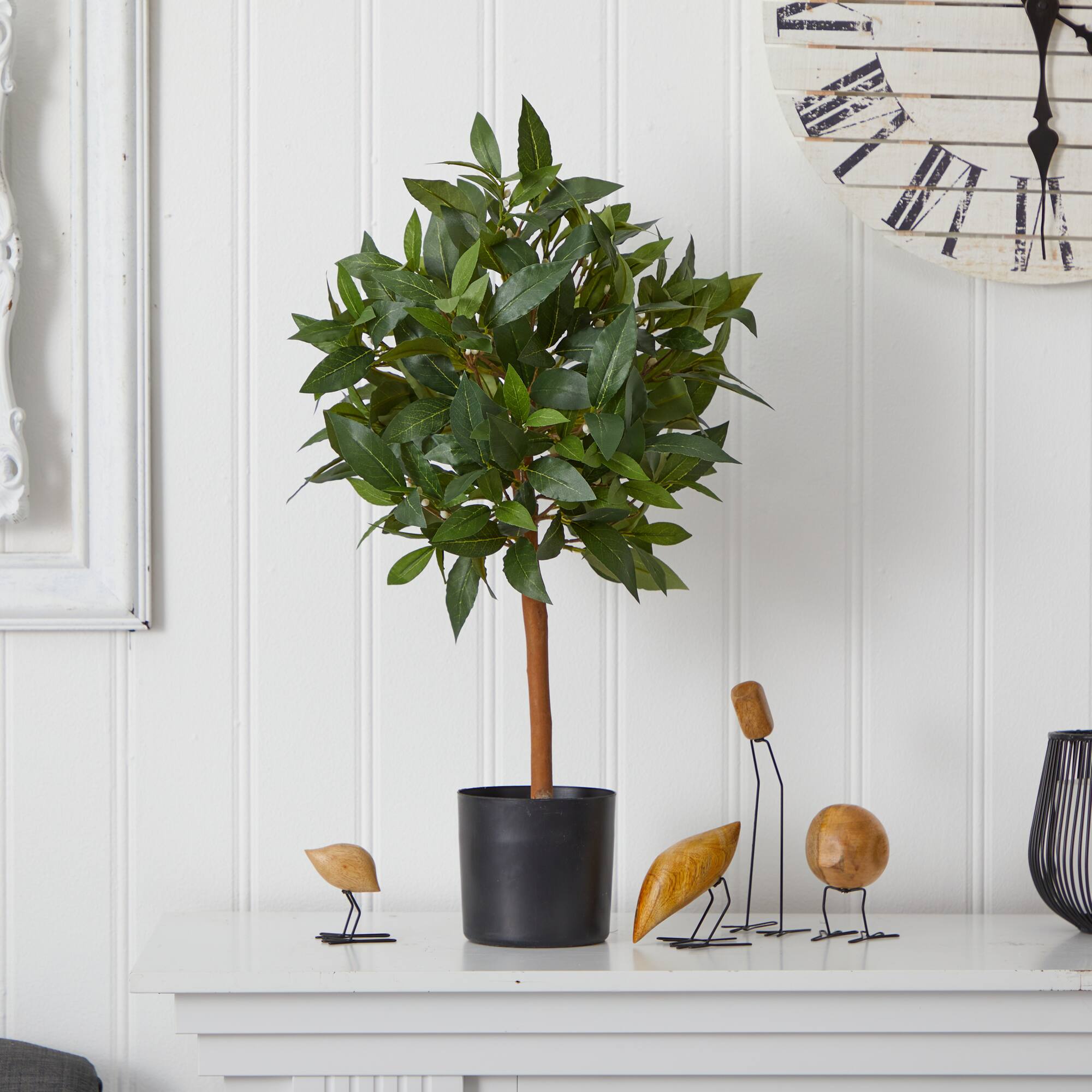 2ft. Potted Sweet Bay Mini Ball Topiary Tree