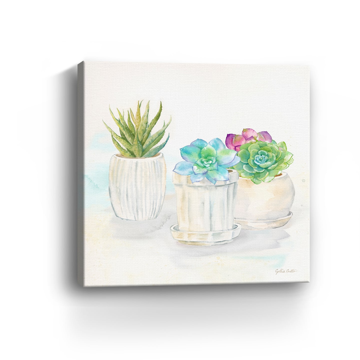 Sweet Succulent Pots IV Canvas Giclee