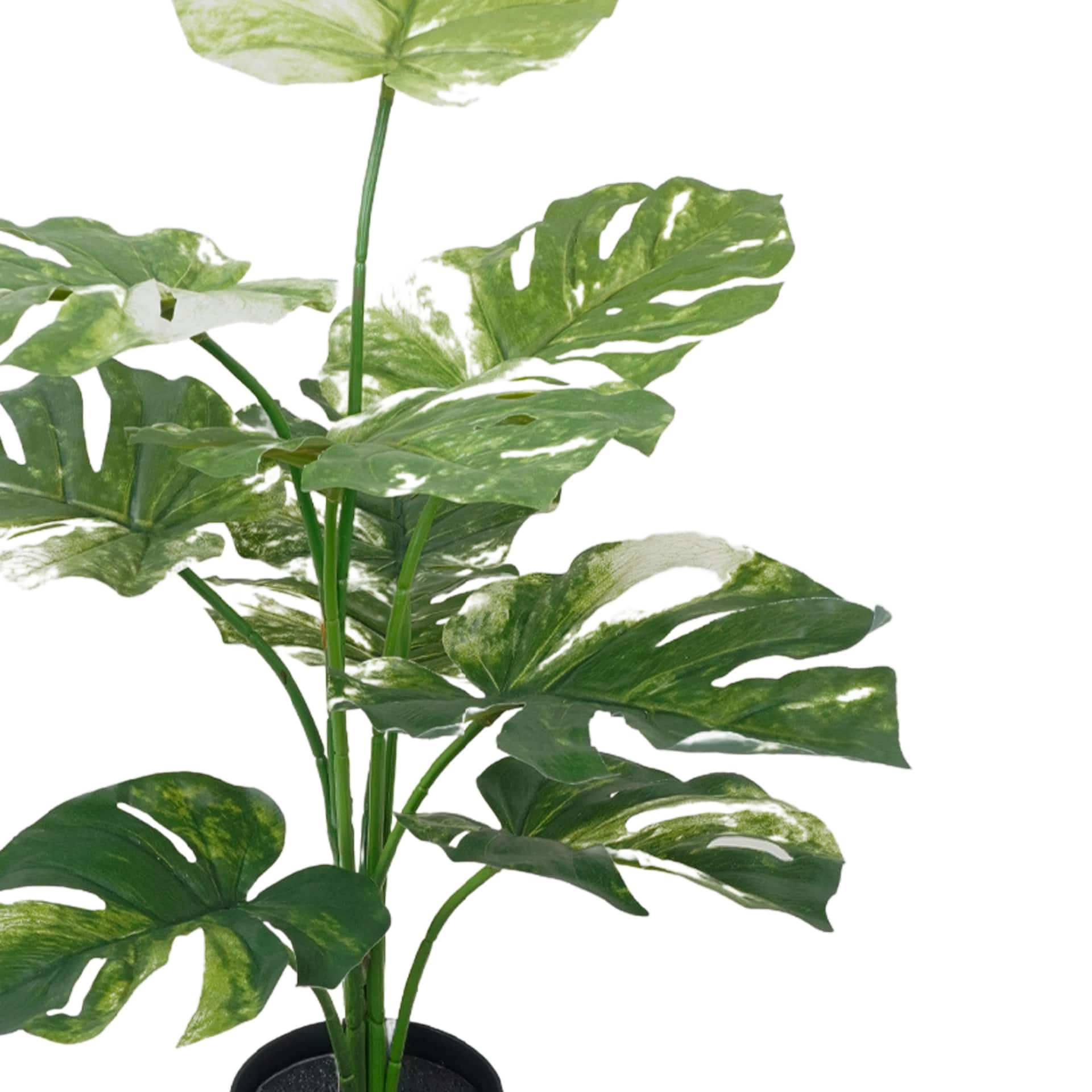 26" Premade Potted Monstera Plant by Ashland®