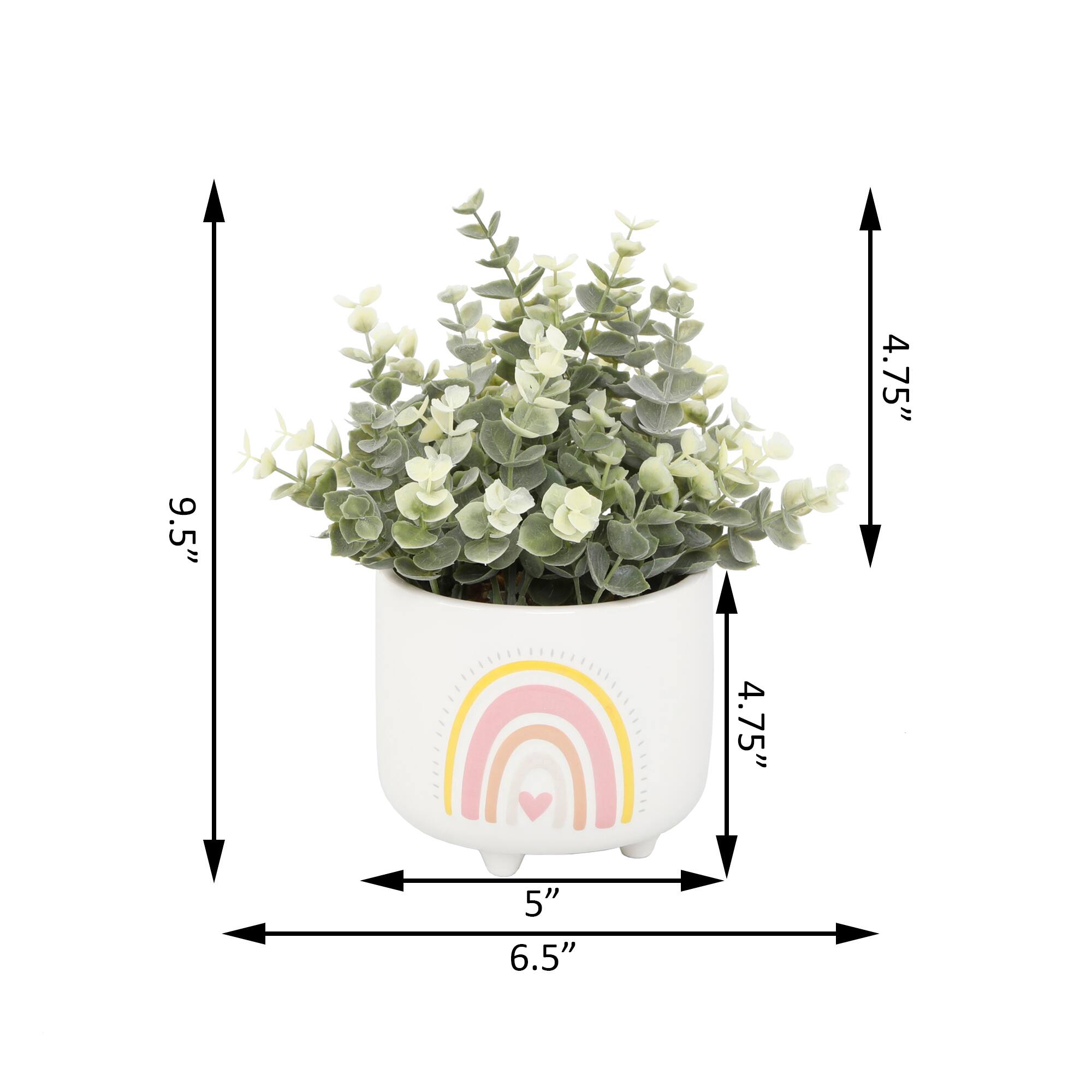 Flora Bunda® Eucalyptus In 4.75" Double Rainbow Footed Pot