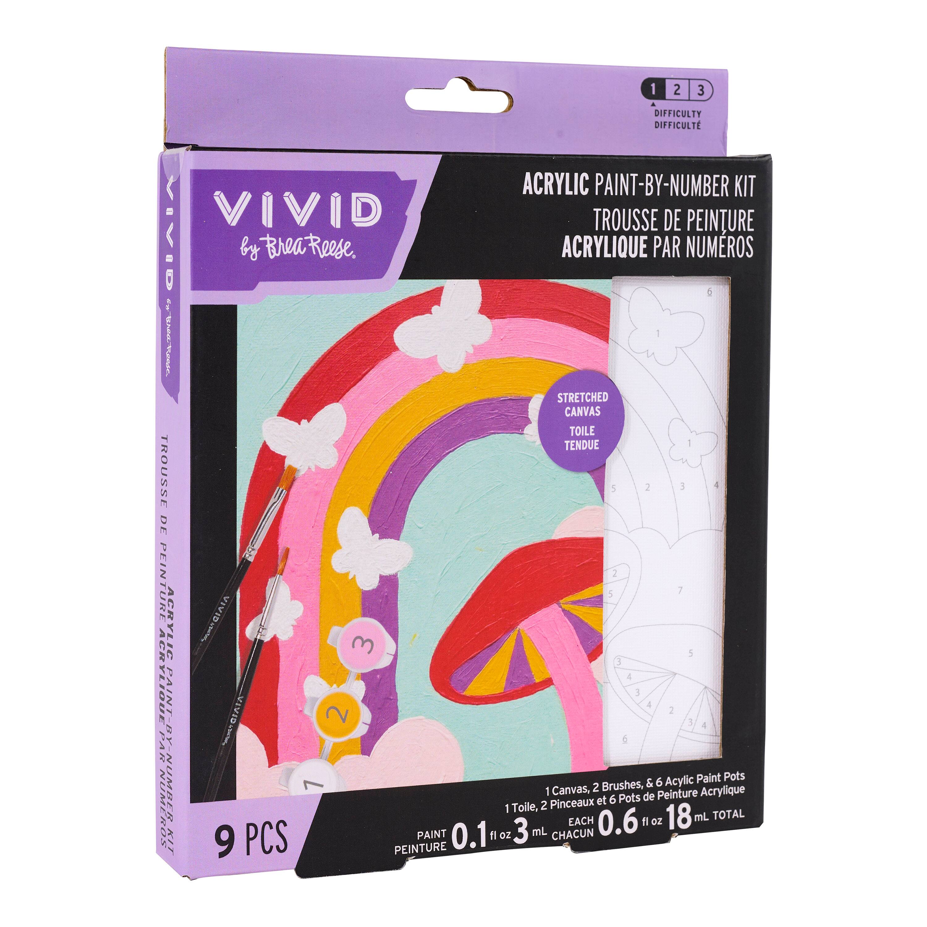 Vivid by Brea Reese® Spring Rainbow Acrylic Paint-by-Number Kit