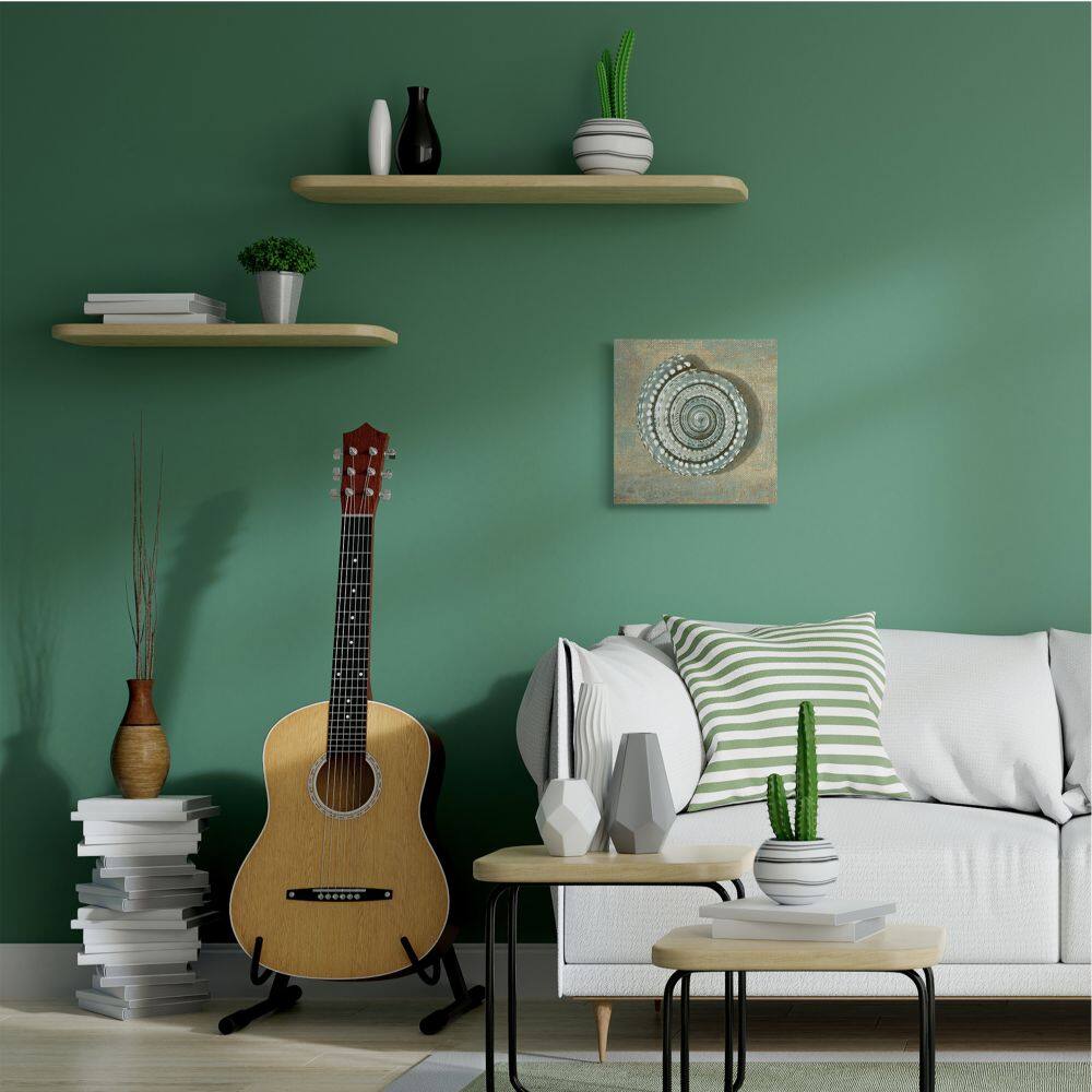 Stupell Industries Spiral Shell Beach Objects Design Canvas Wall Art