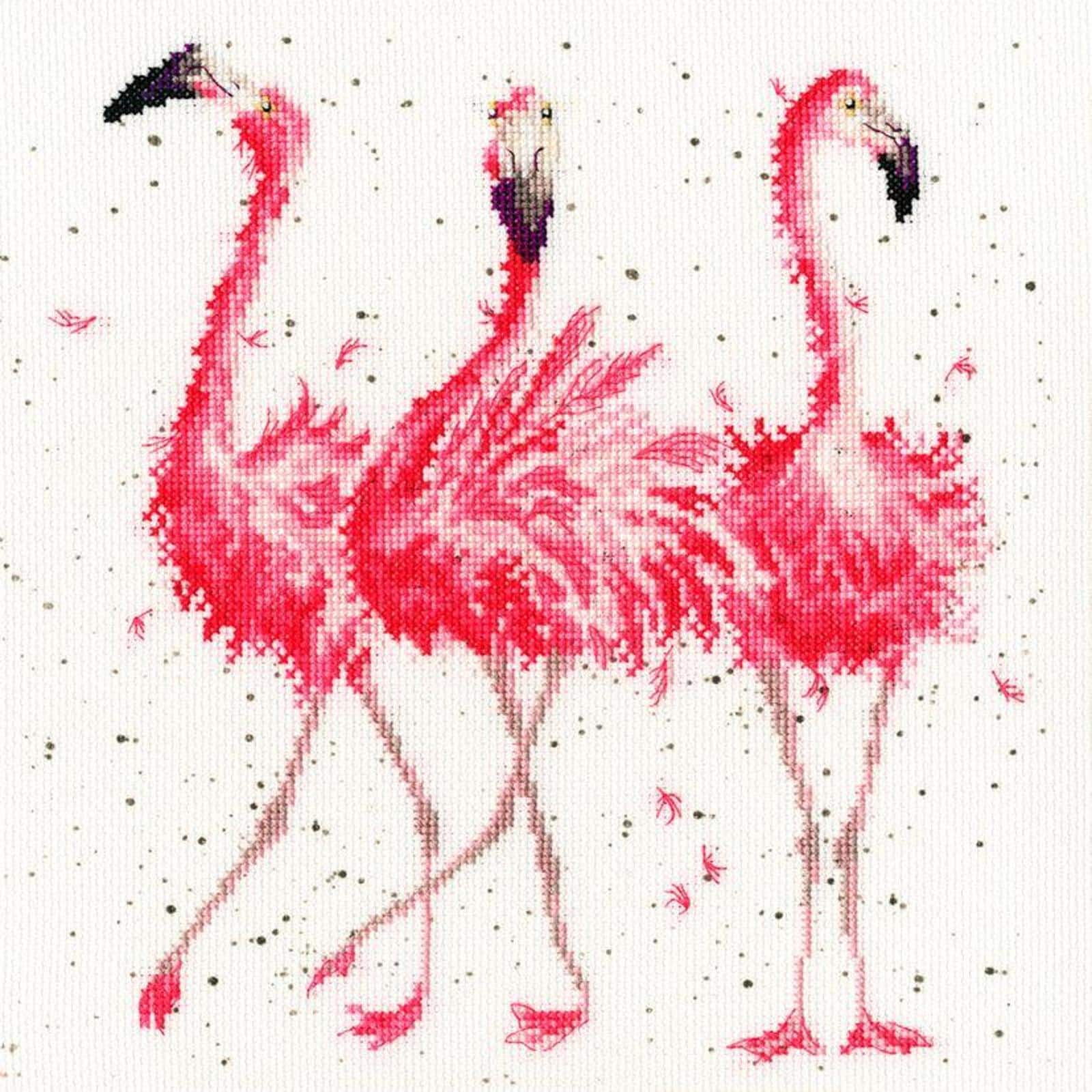 Bothy Threads Pink Ladies Counted Cross Stitch Kit