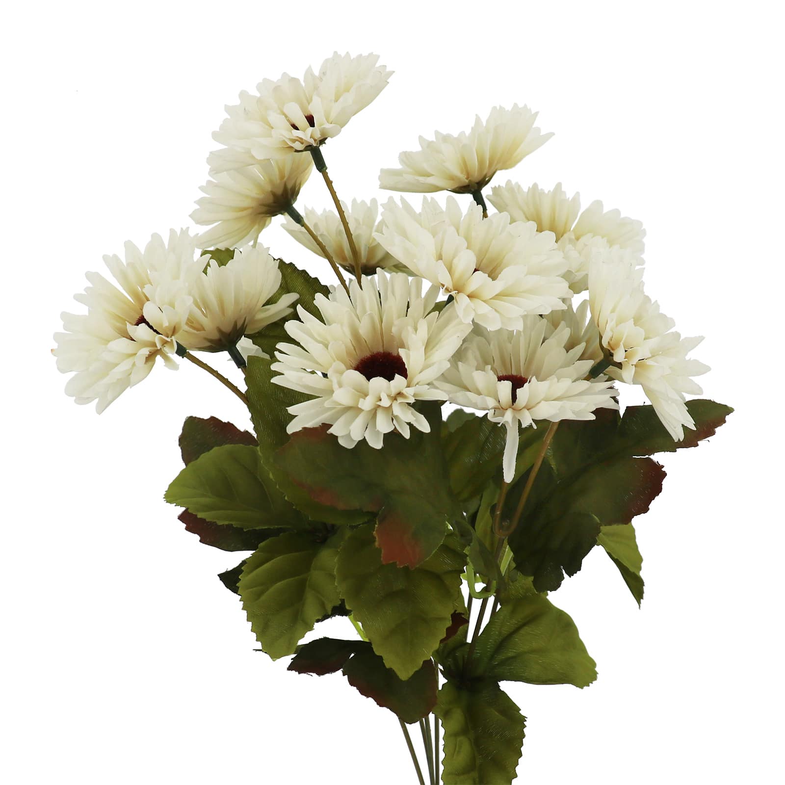 16" Toast Daisy Bush by Ashland®