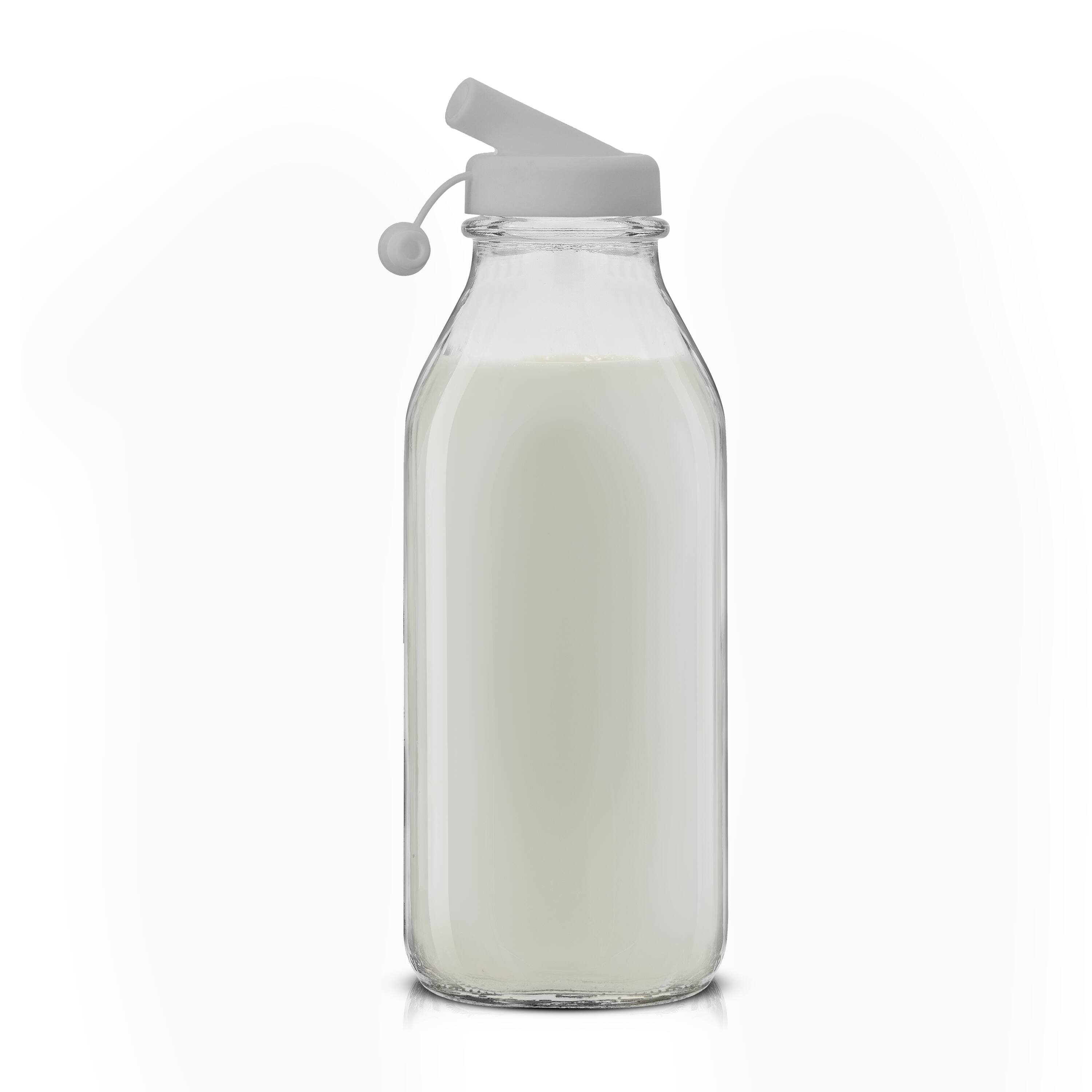 JoyJolt® Reusable Glass Milk Bottle Set with Lid & Pourer
