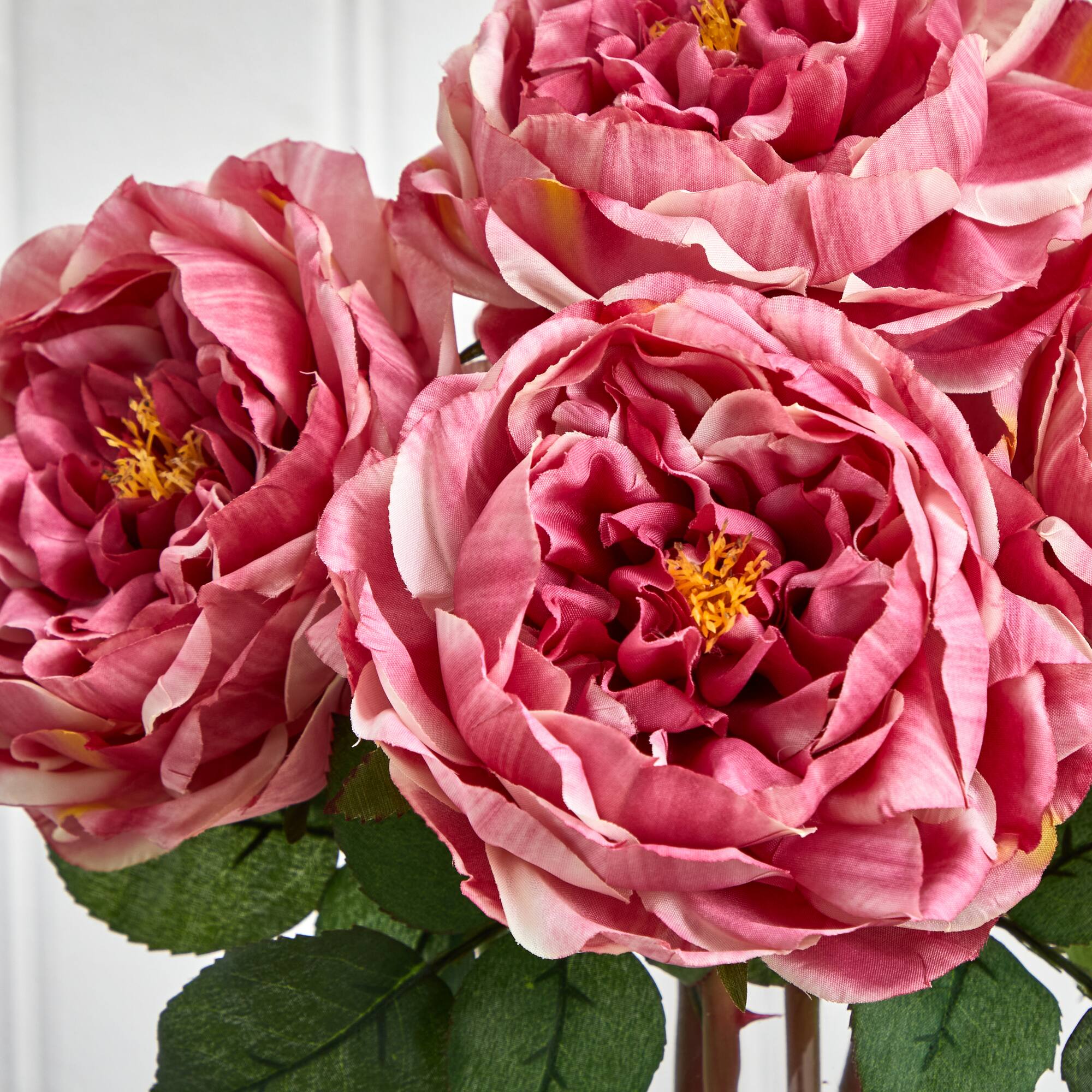18" Pink Fancy Rose Arrangement in Glass Cylinder Vase