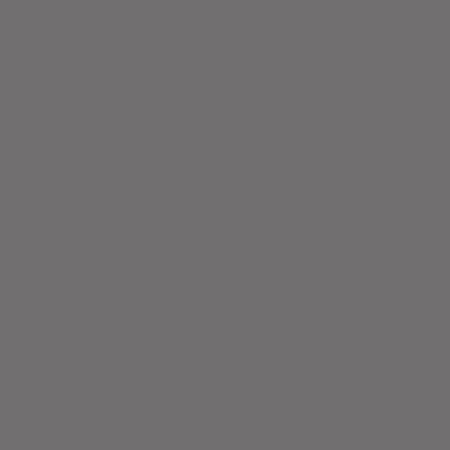 Springs Creative Natural Charm 2 Dark Gray Quilting Cotton Fabric
