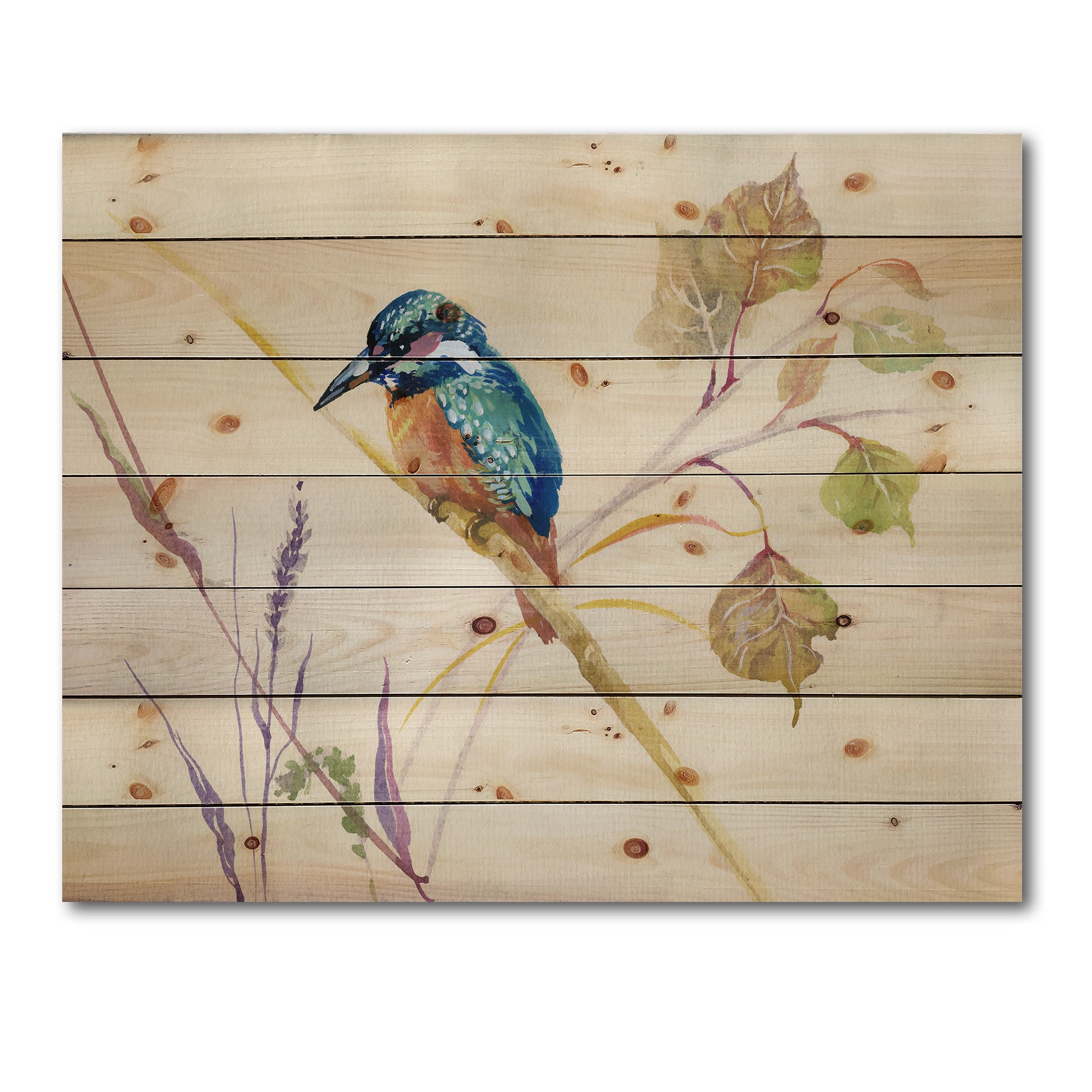 Designart - Common Kingfisher Bird