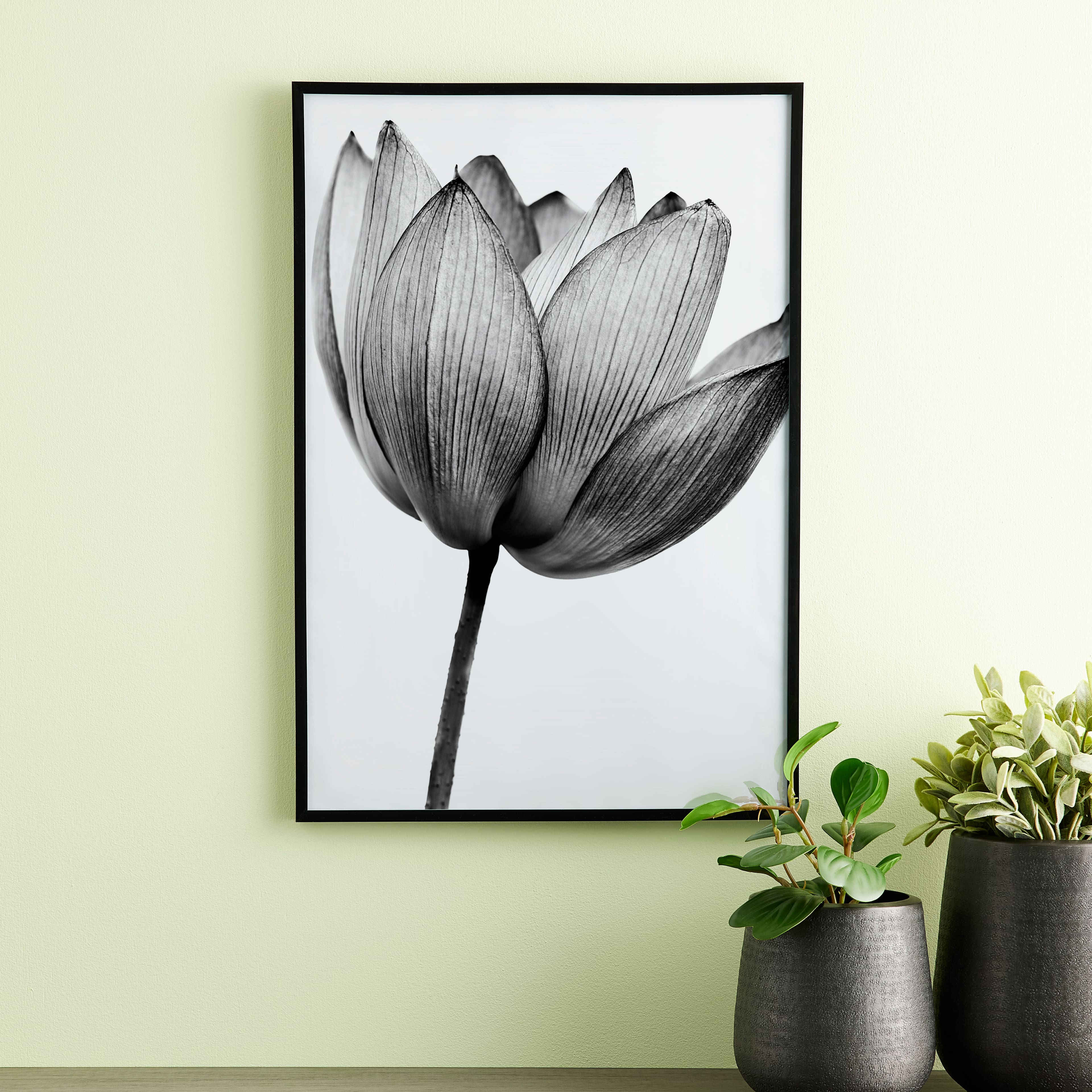 6 Pack: Black Multipurpose Frame, Basics by Studio Décor®