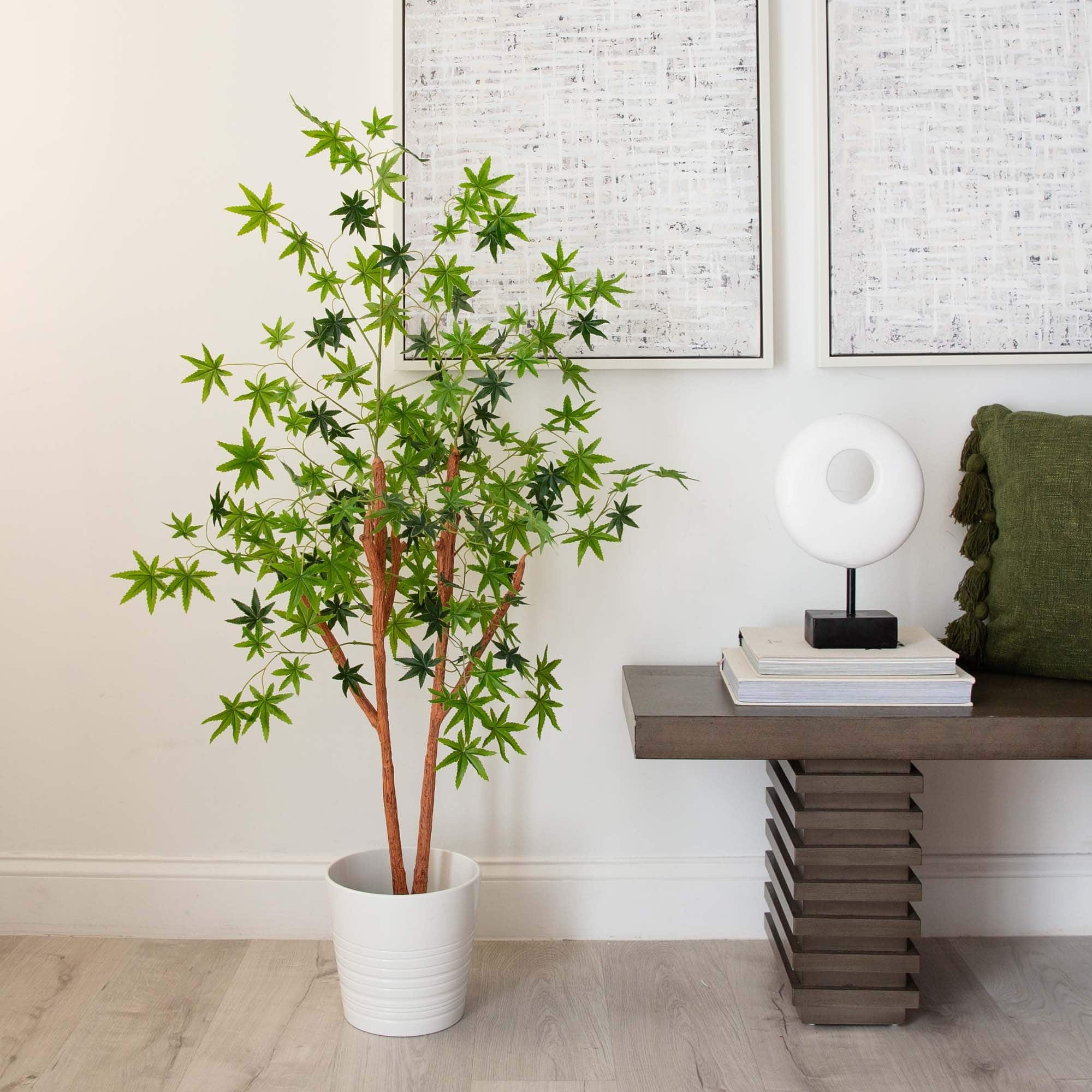 4ft. Potted Maple Tree