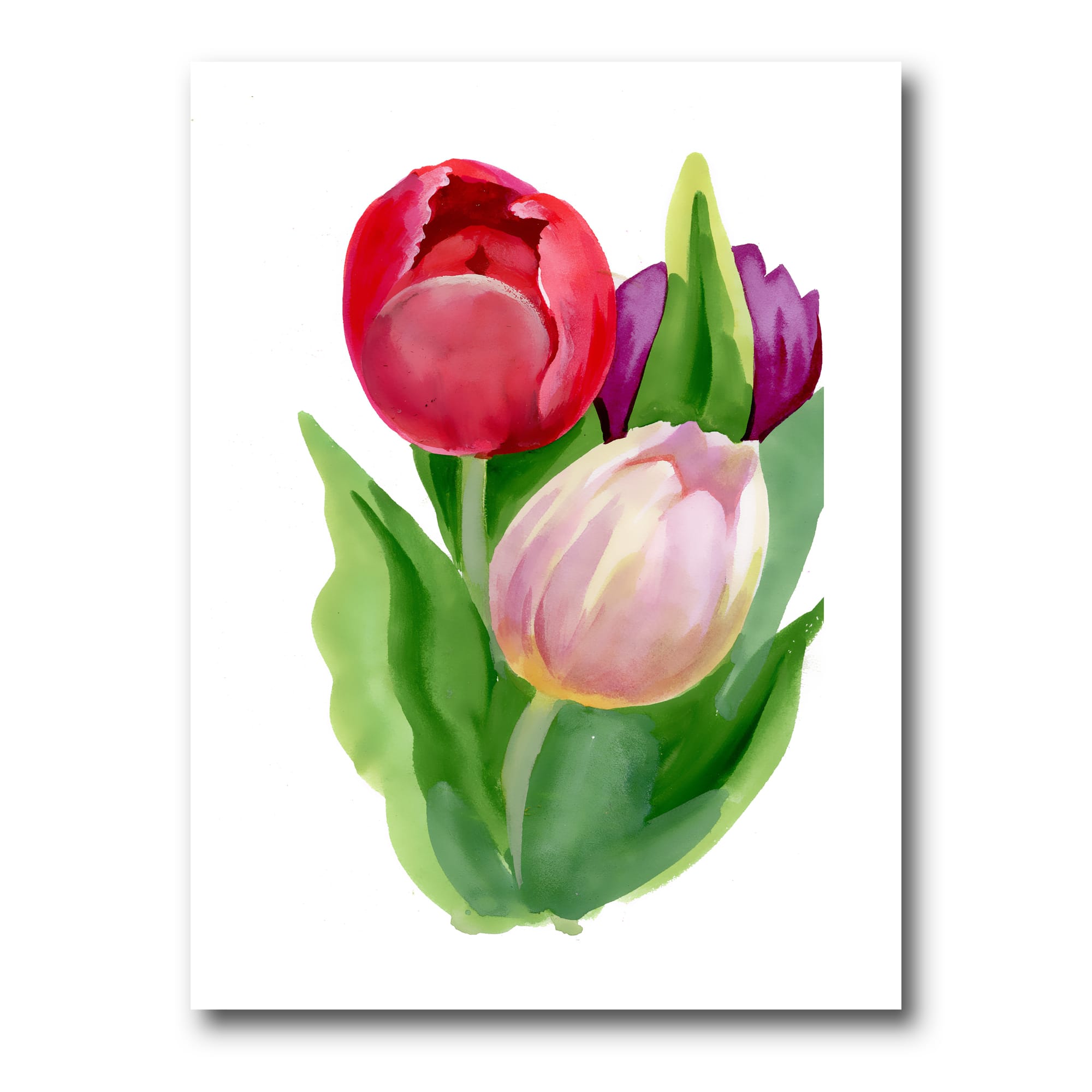 Designart - Beautiful Tulip Flowers