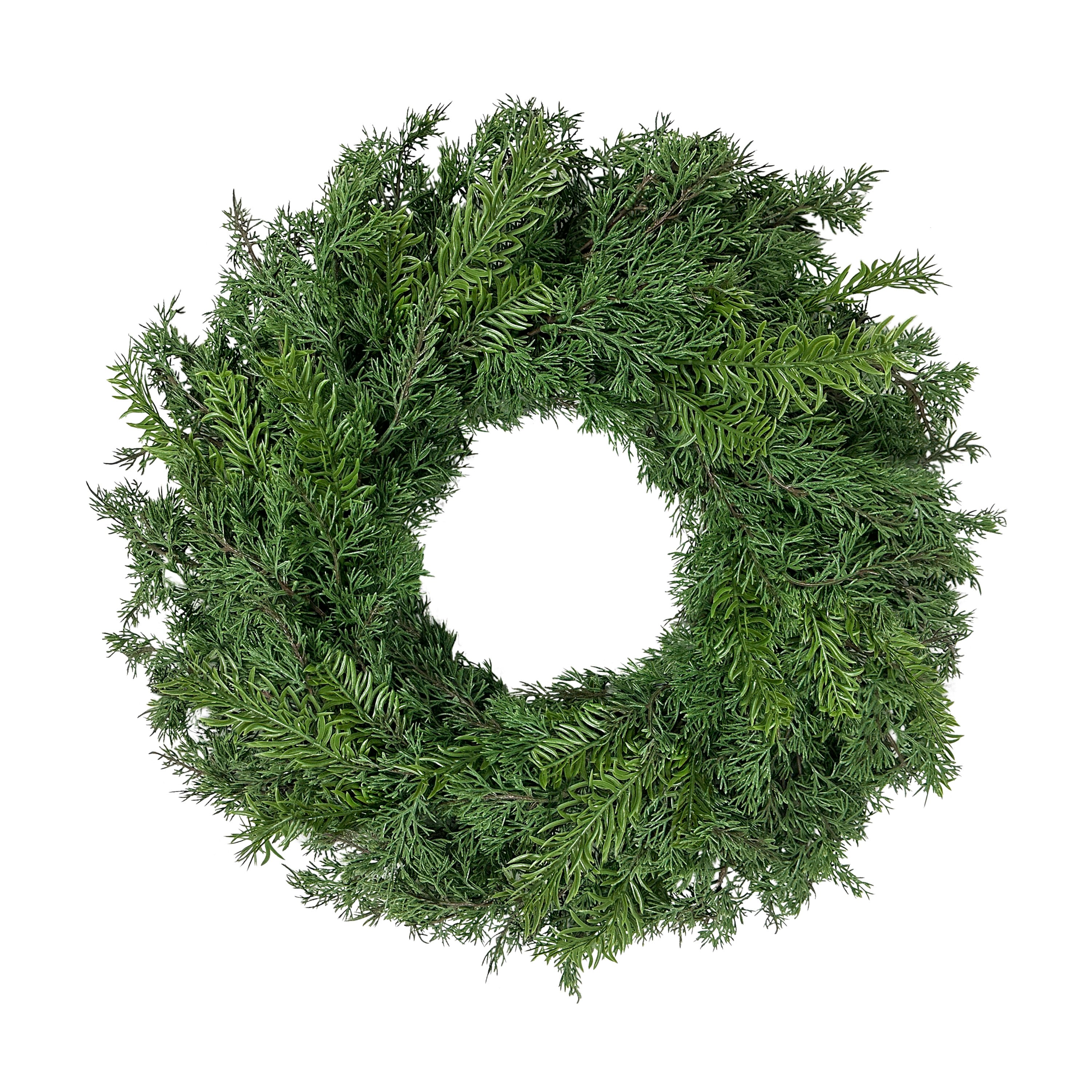 24" Soft Branch Tipped Artificial Christmas Wreath
