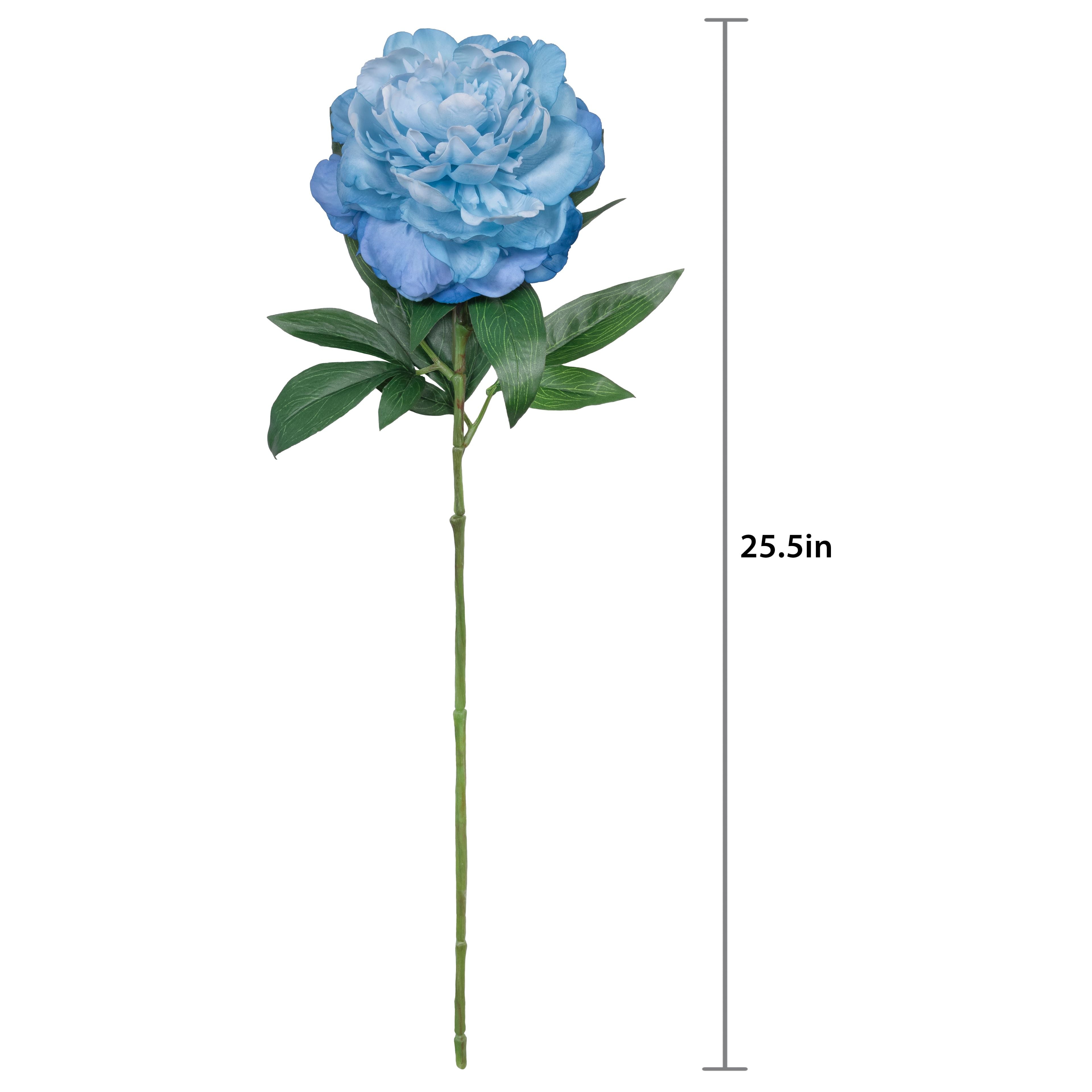 26" Peony Real Touch Stem by Ashland