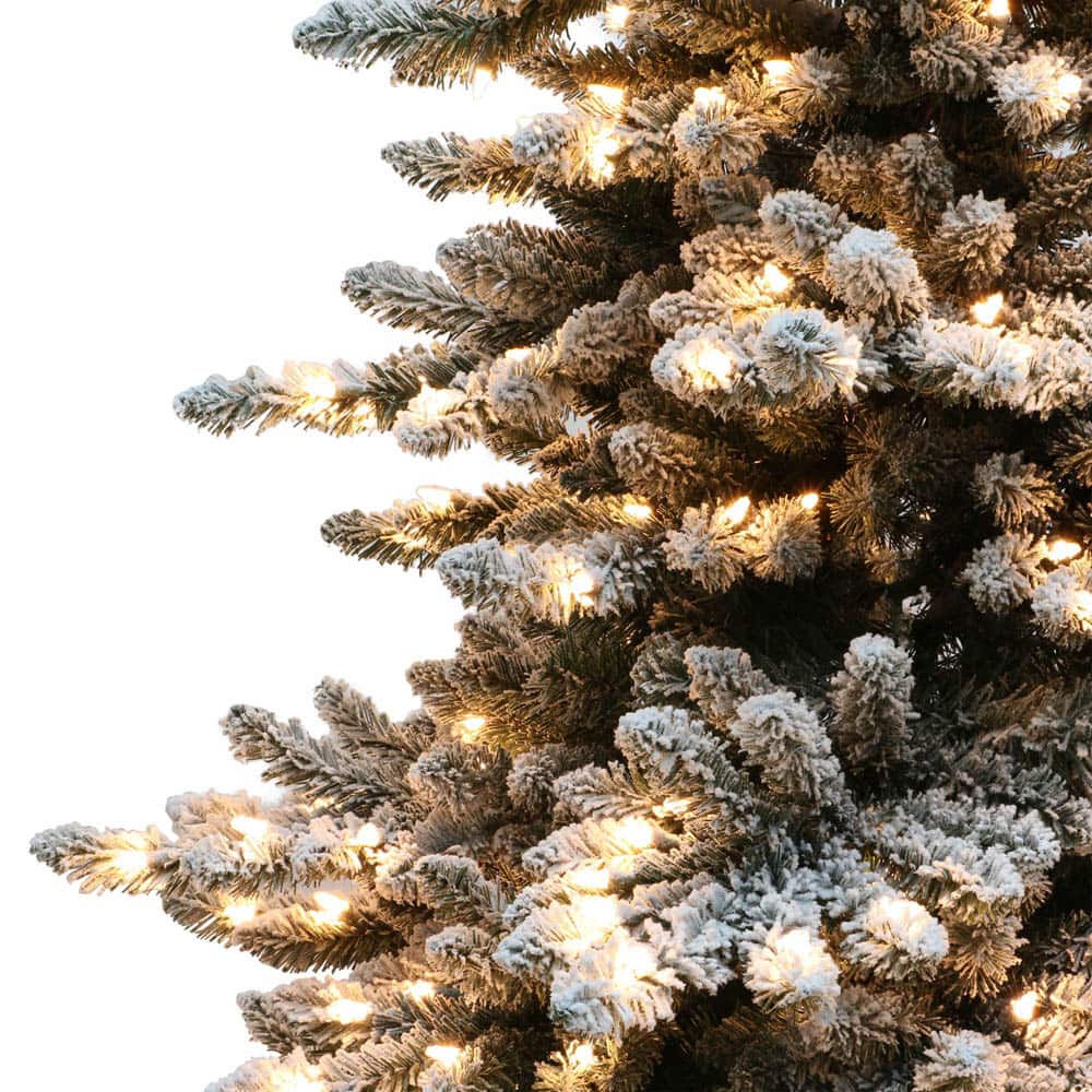 6.5ft. Pre-Lit Flocked Royal Majestic Spruce Artificial Christmas Tree, Clear LED Lights