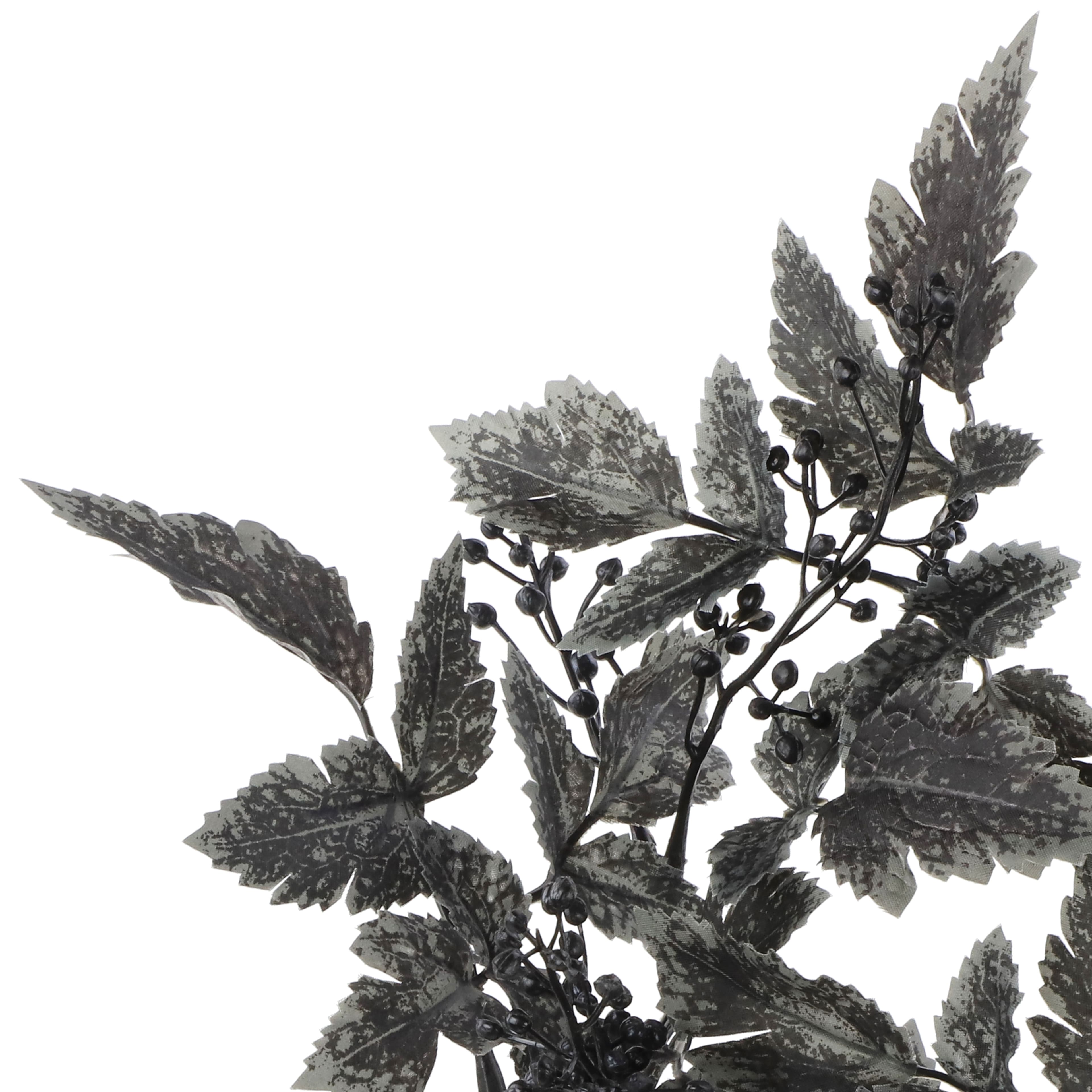 35" Black Cimicifuga Leaf Stem by Ashland®