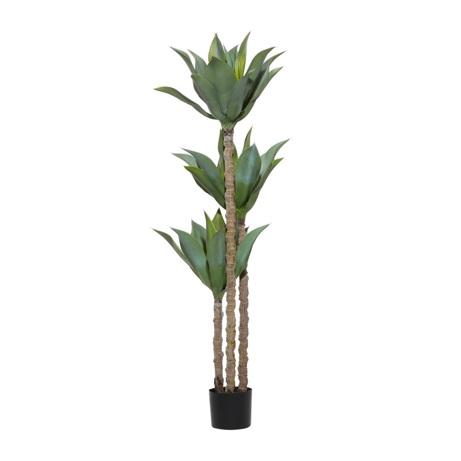 5ft. Potted Yucca Tree
