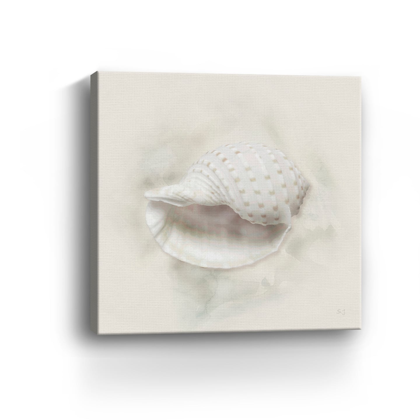Soft Sand and Shell IV Canvas Giclee