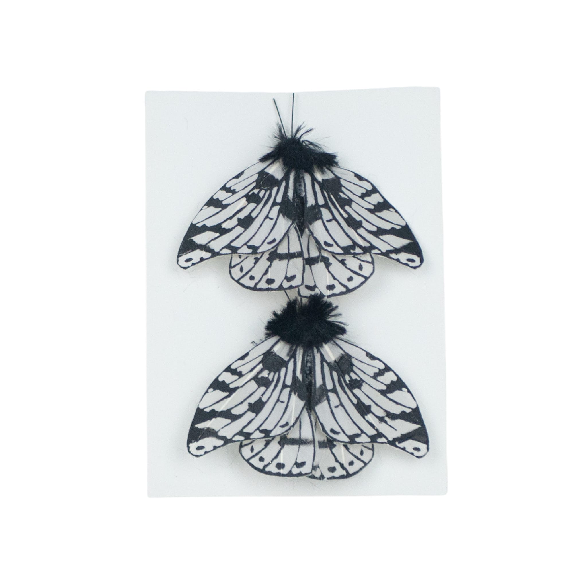 Black & White Moths, 2ct. by Ashland®
