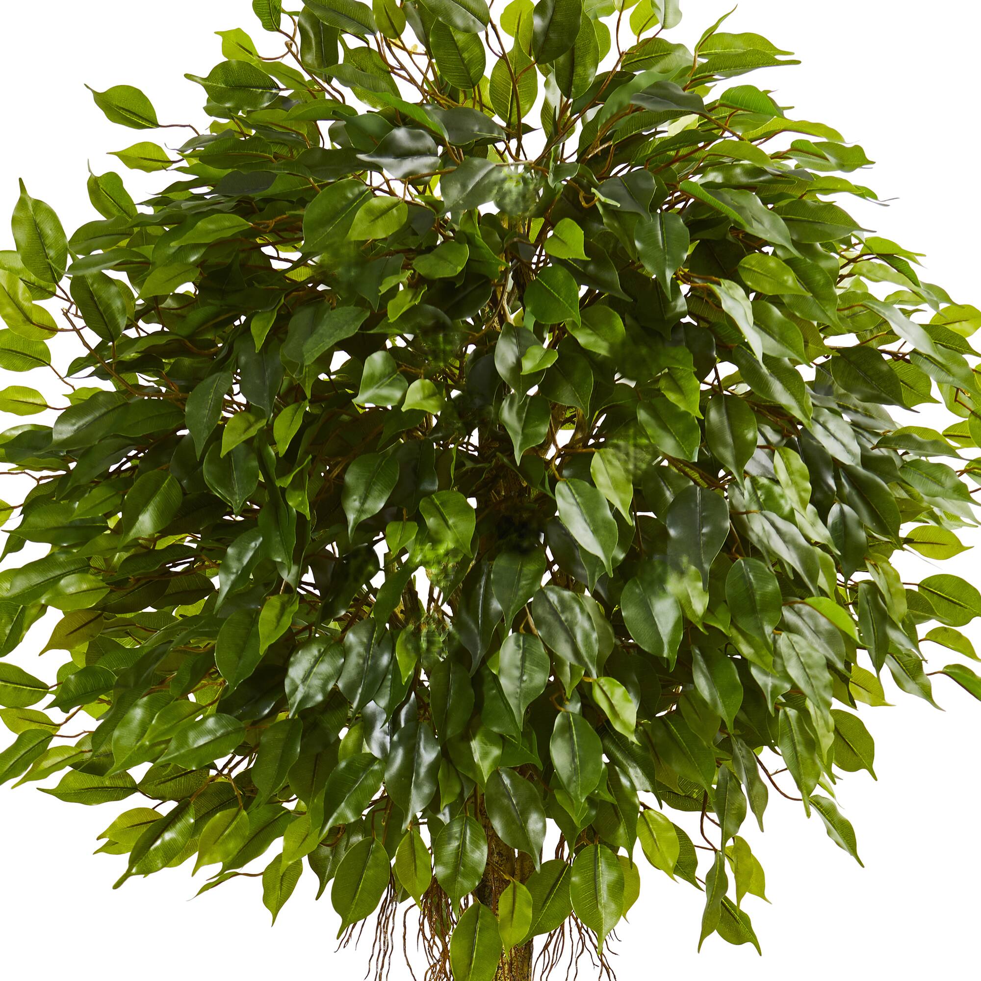 6ft. UV Resistant Ficus Artificial Topiary Tree