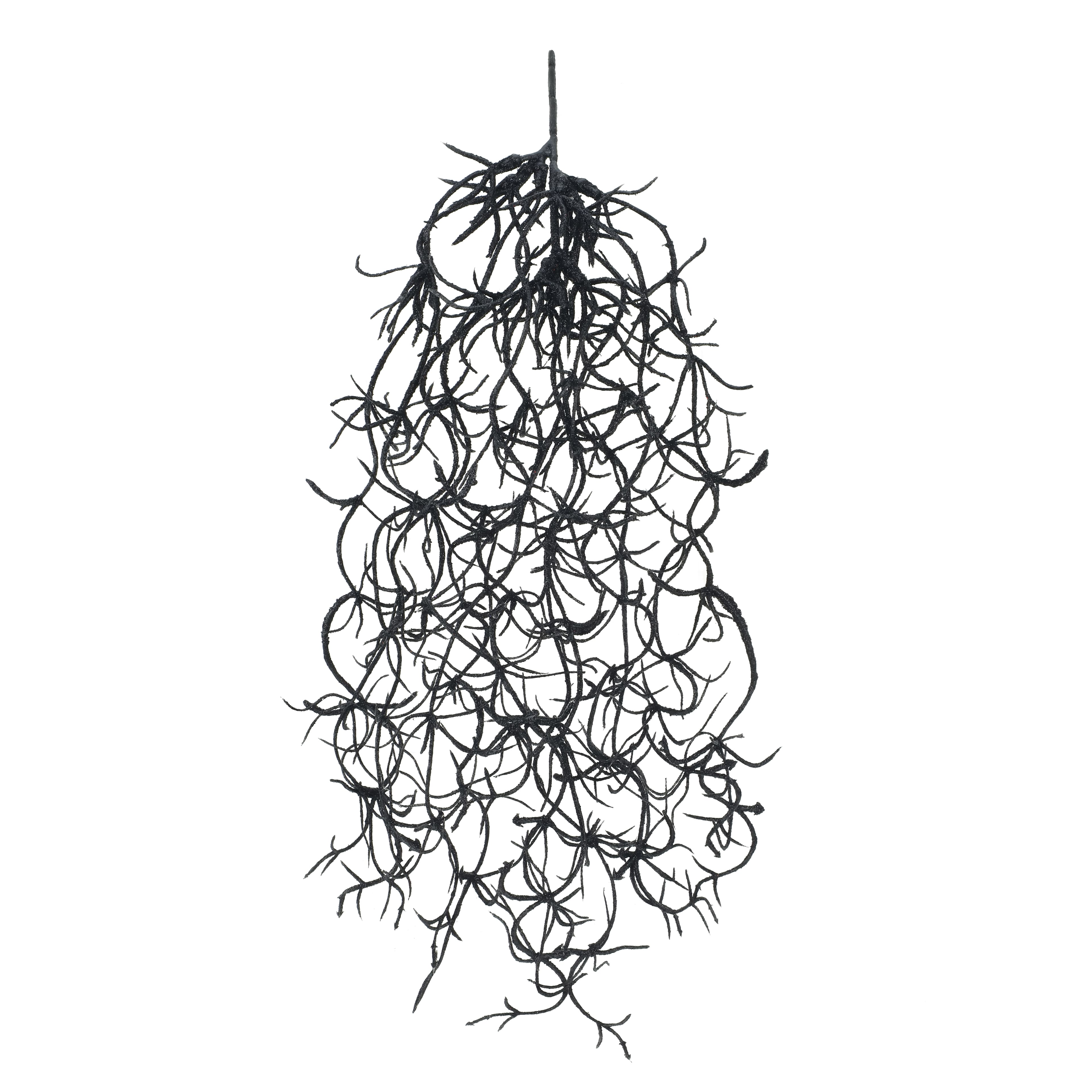 10" Black Hanging Spanish Moss Pick by Ashland®